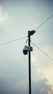 a bird sitting on top of a power pole