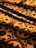 Ornate floor tiles with intricate floral and geometric patterns are illuminated by beams of warm, golden sunlight creating contrasting shadows.