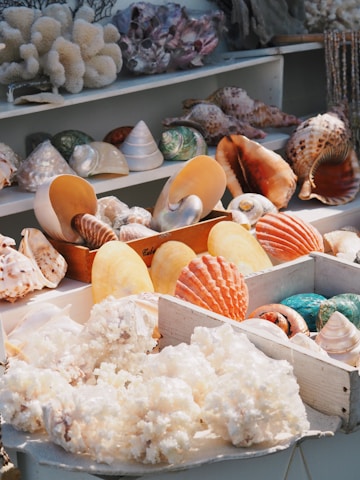 A beautiful display of unique resin art pieces featuring real sea shells.