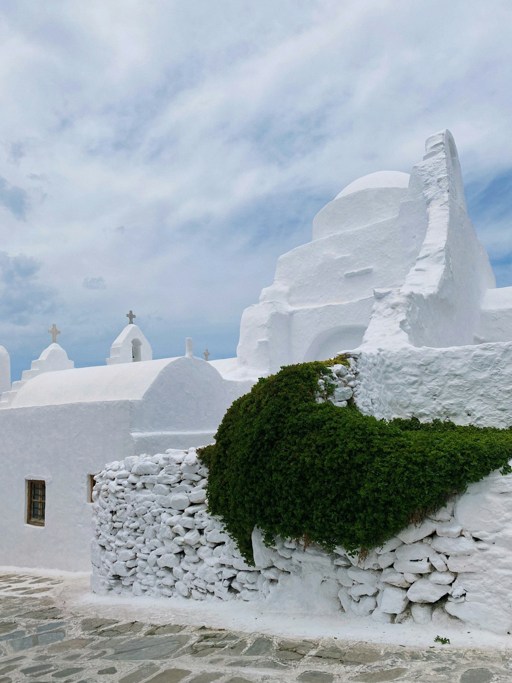 un bâtiment blanc avec une plante verte qui en sort