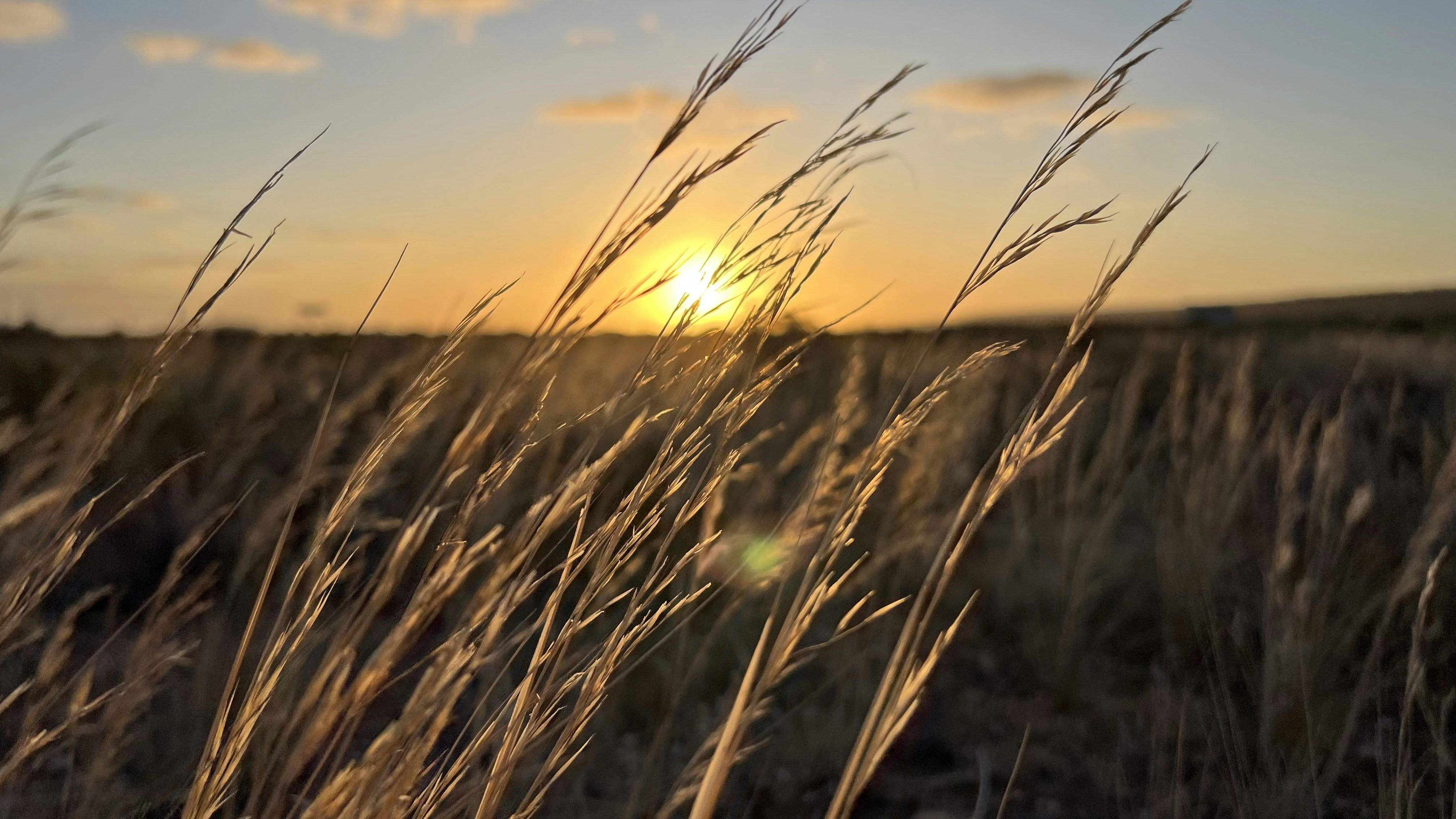 Photo by yangmaogood