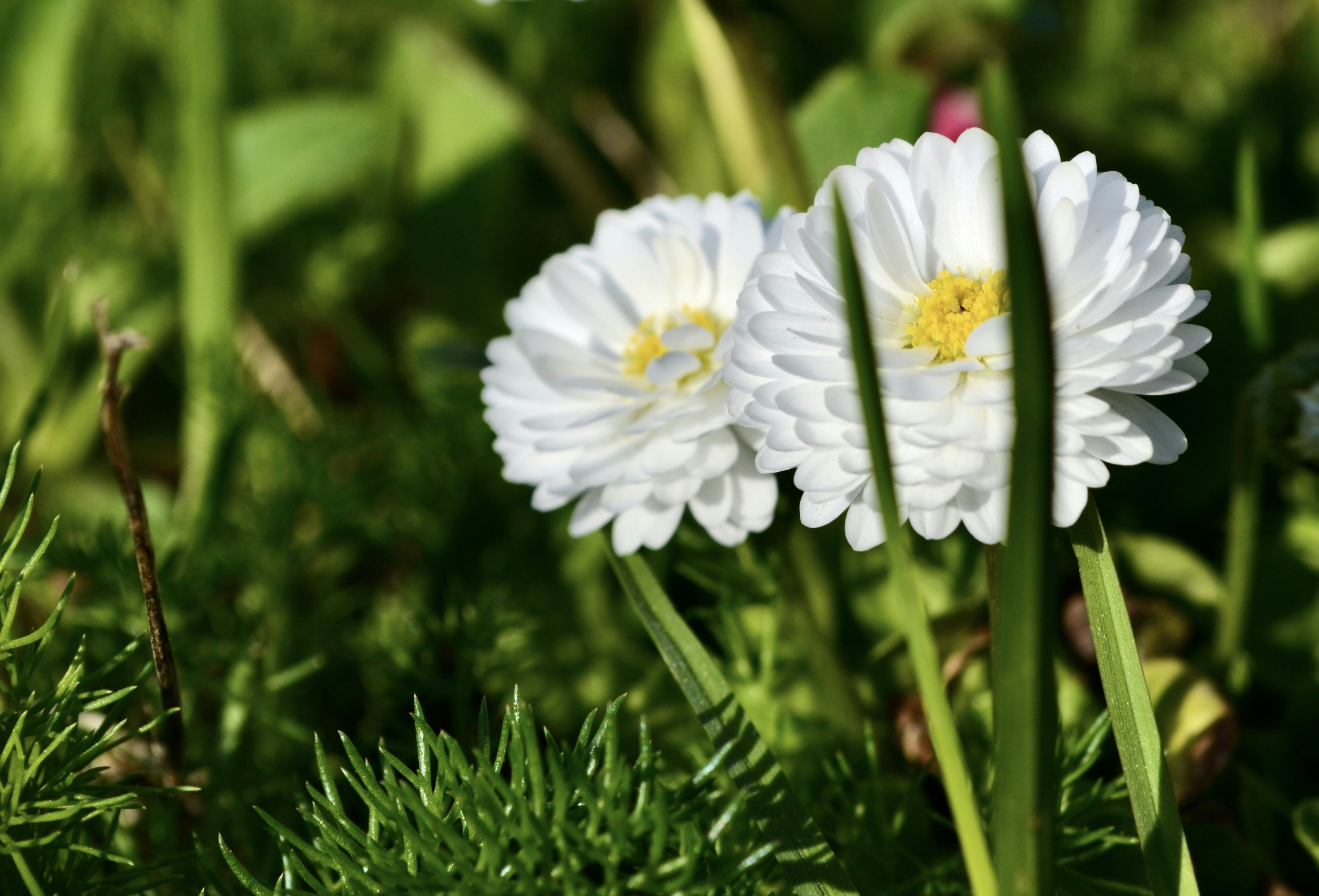 Photo by evgenslavin