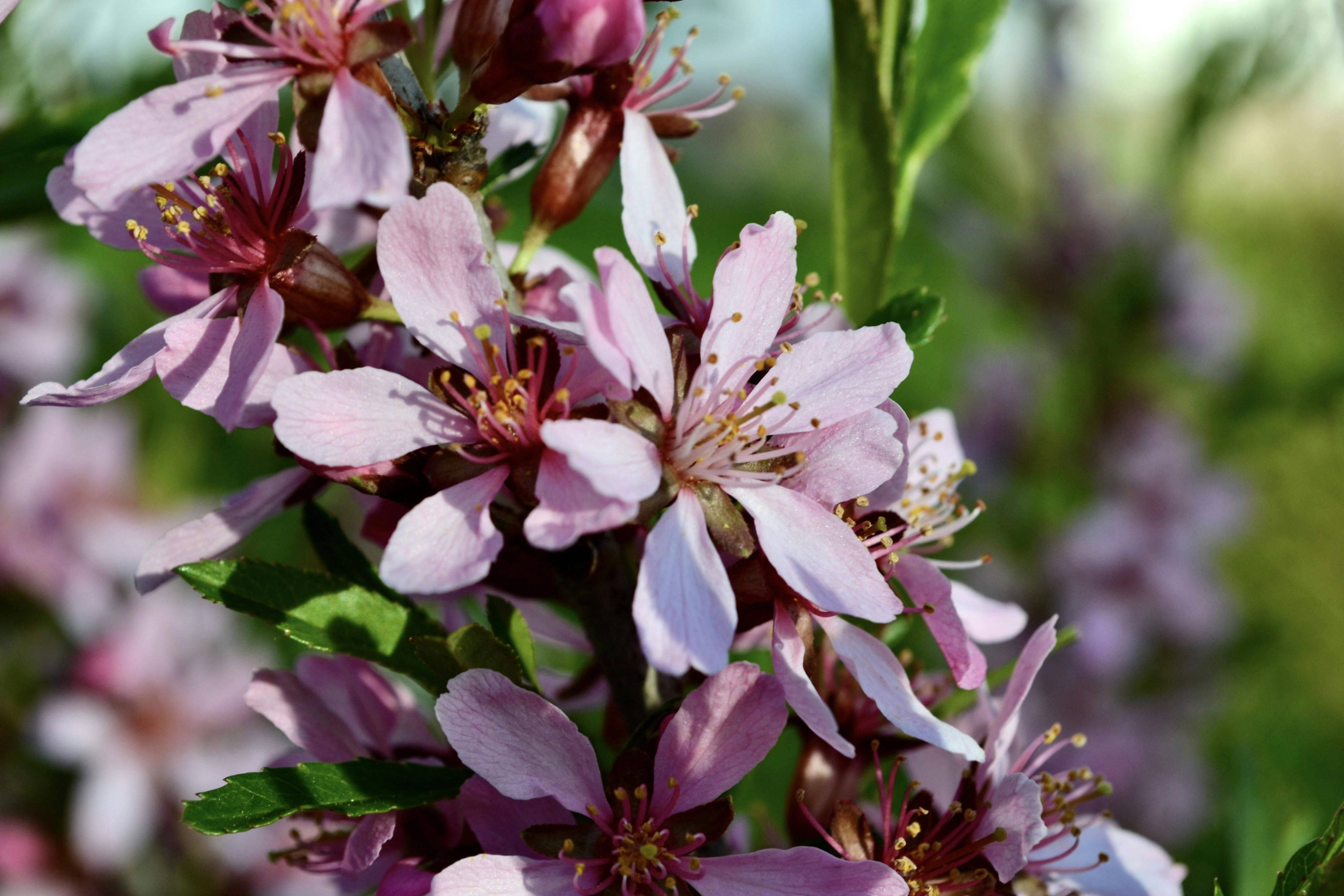 Photo by evgenslavin