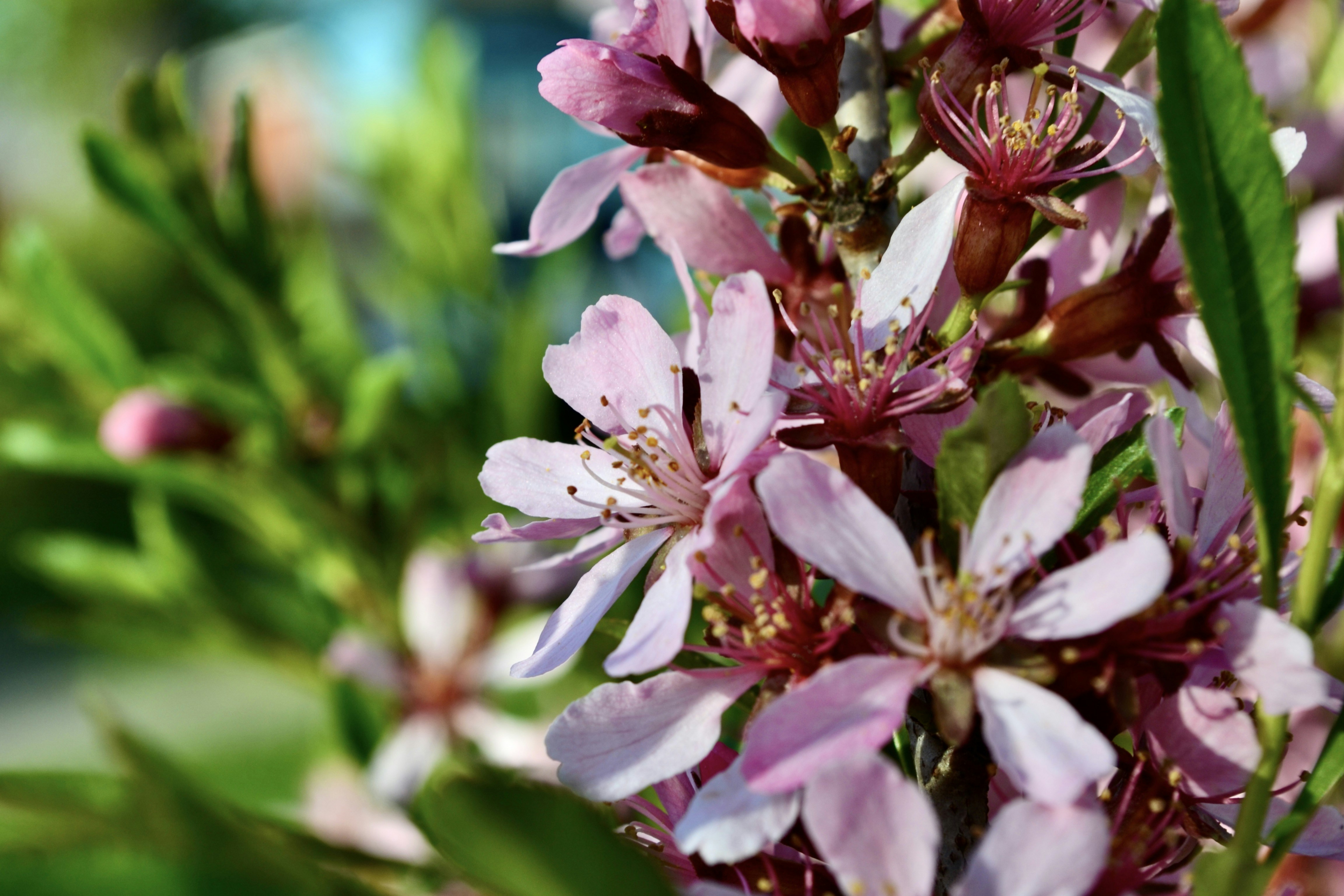 Photo by evgenslavin