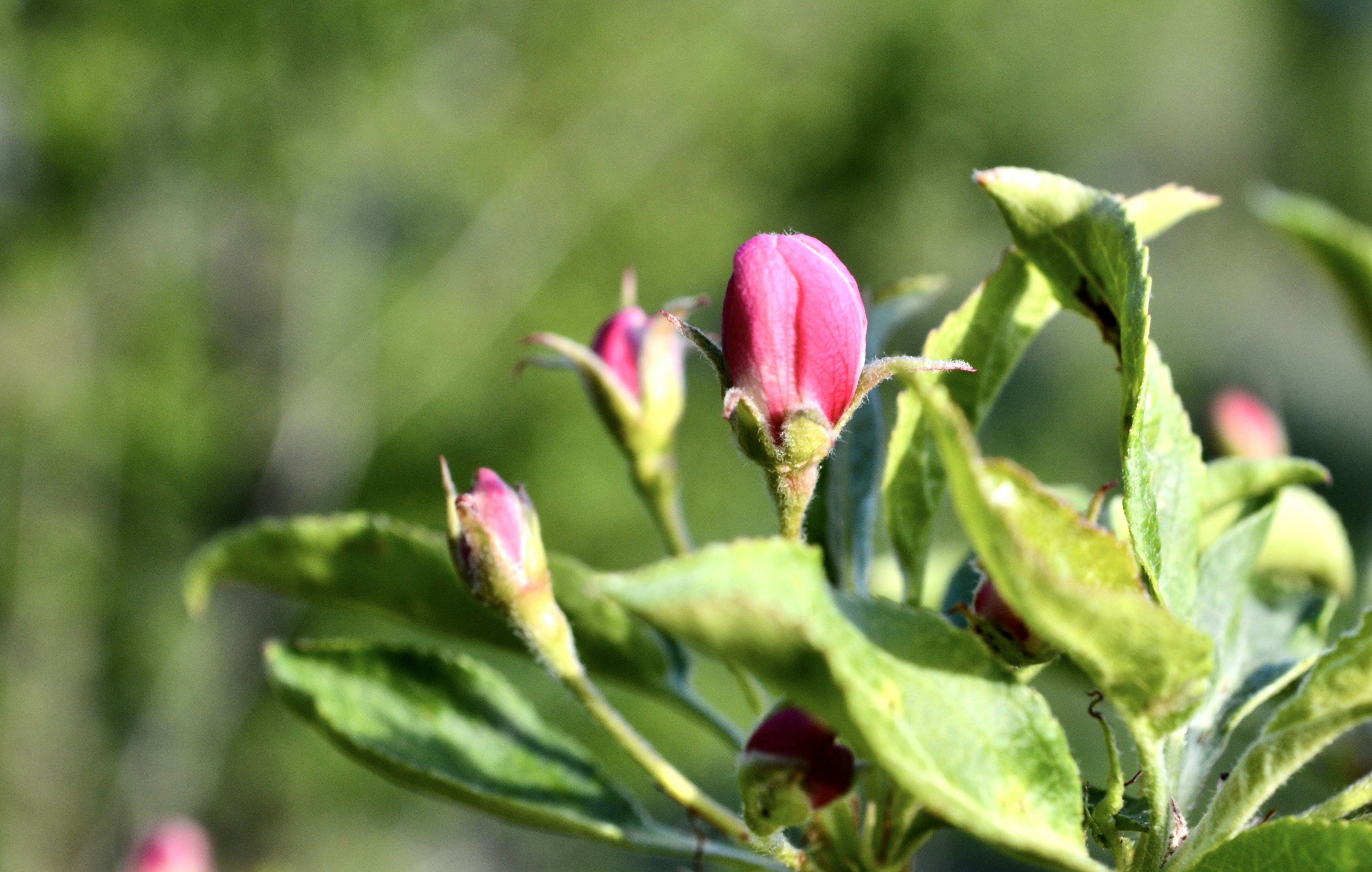 Photo by evgenslavin