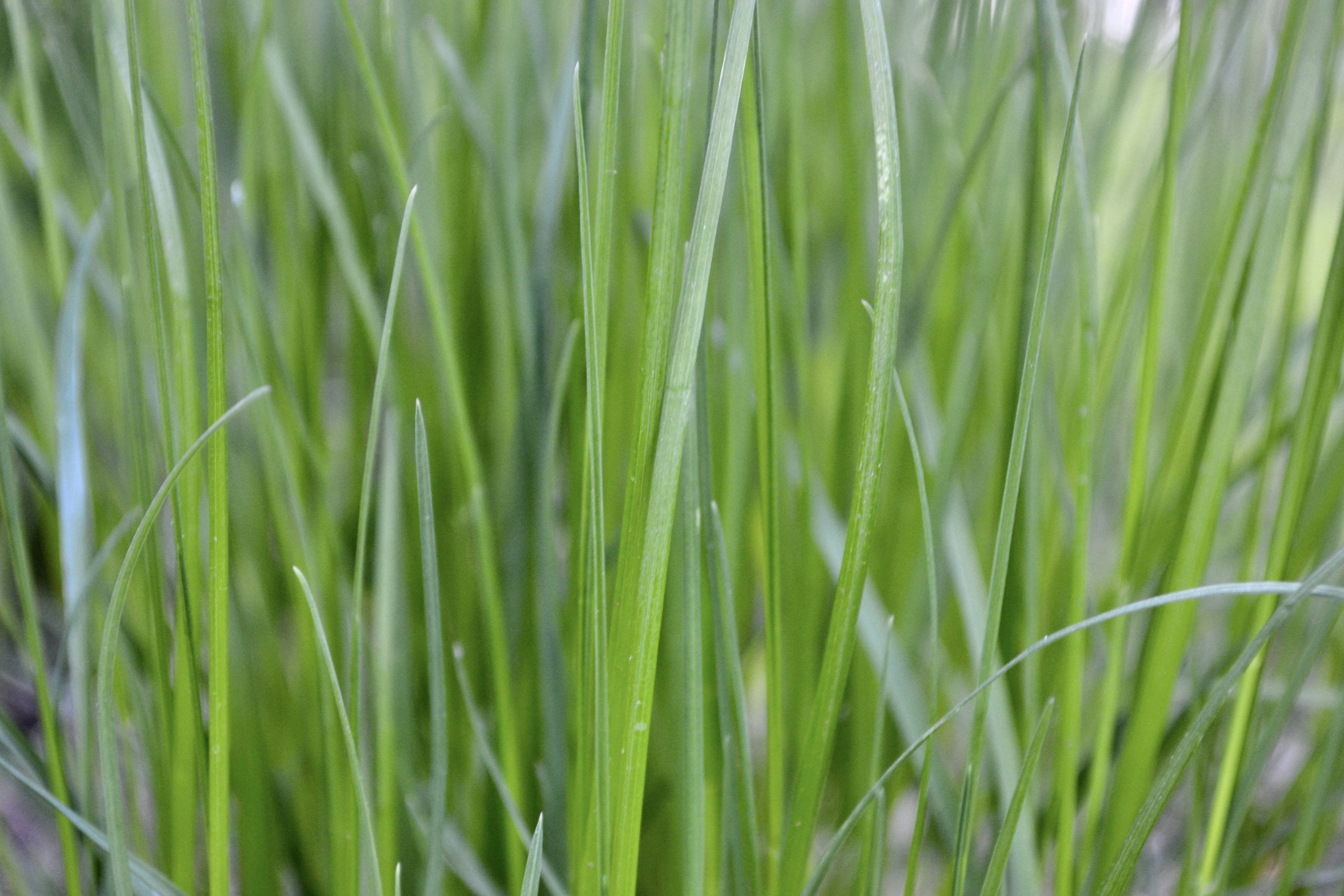 Photo by evgenslavin