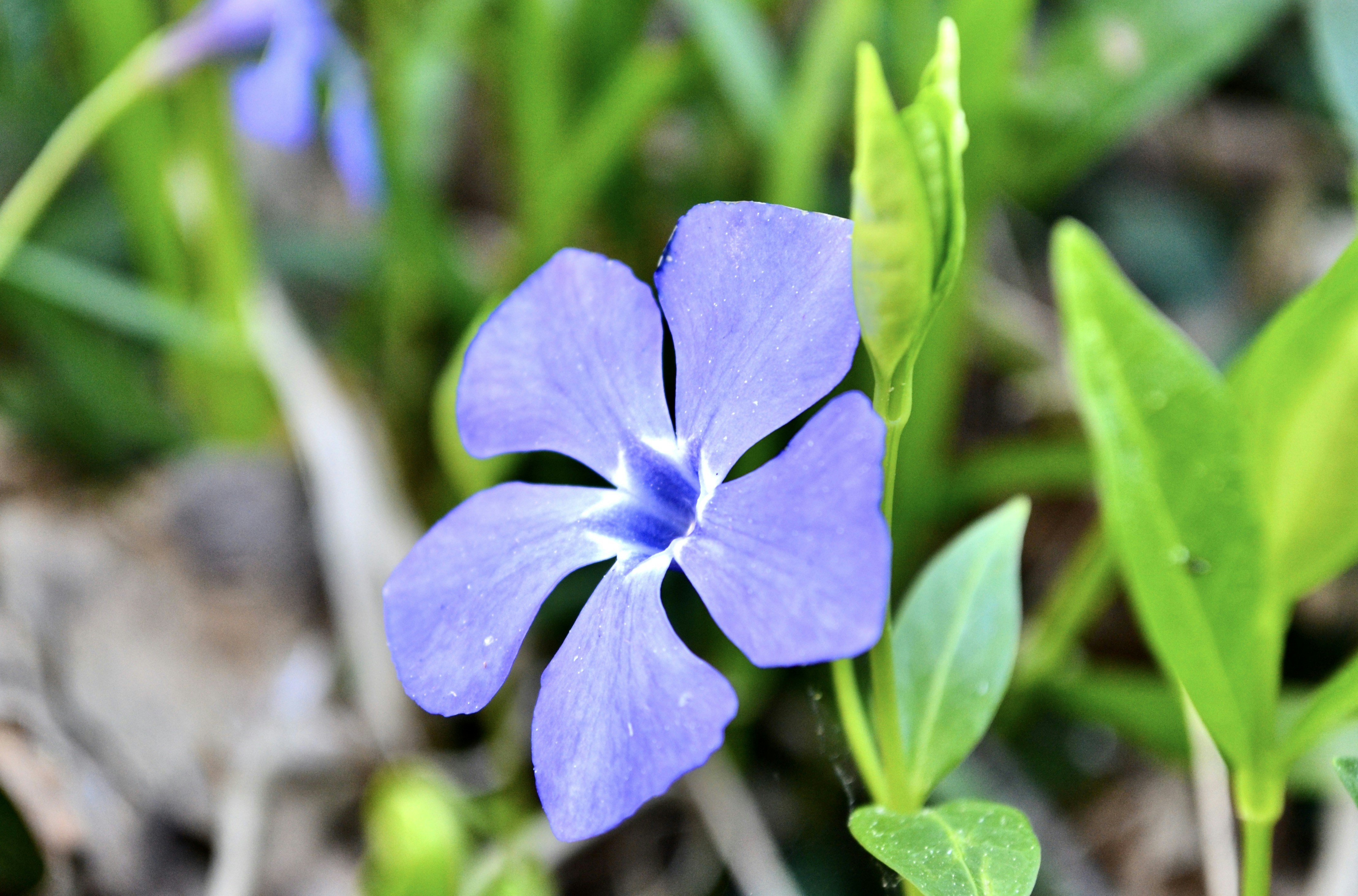 Photo by evgenslavin