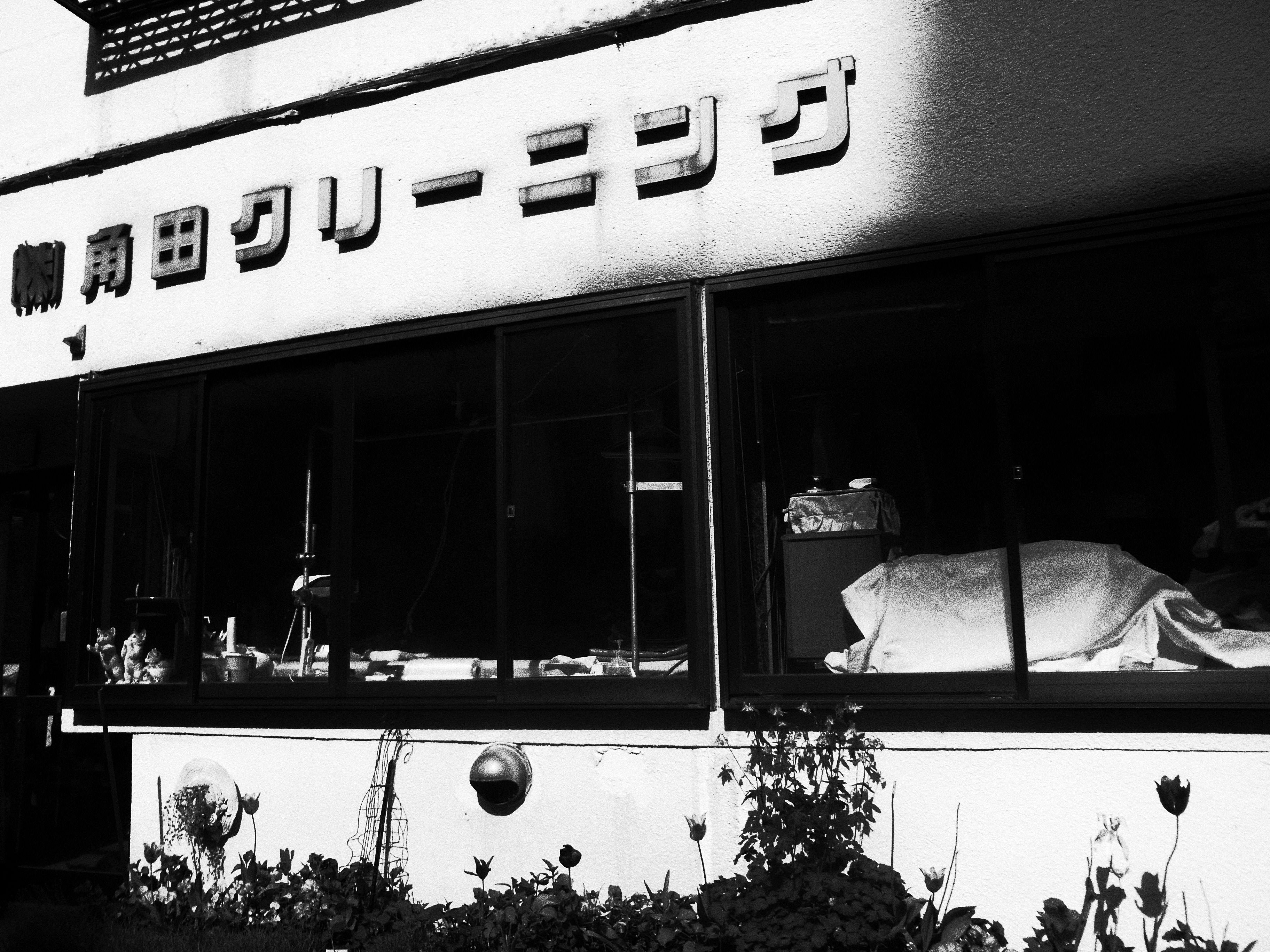 Bright storefront window with clean bold lettering seen in daylight