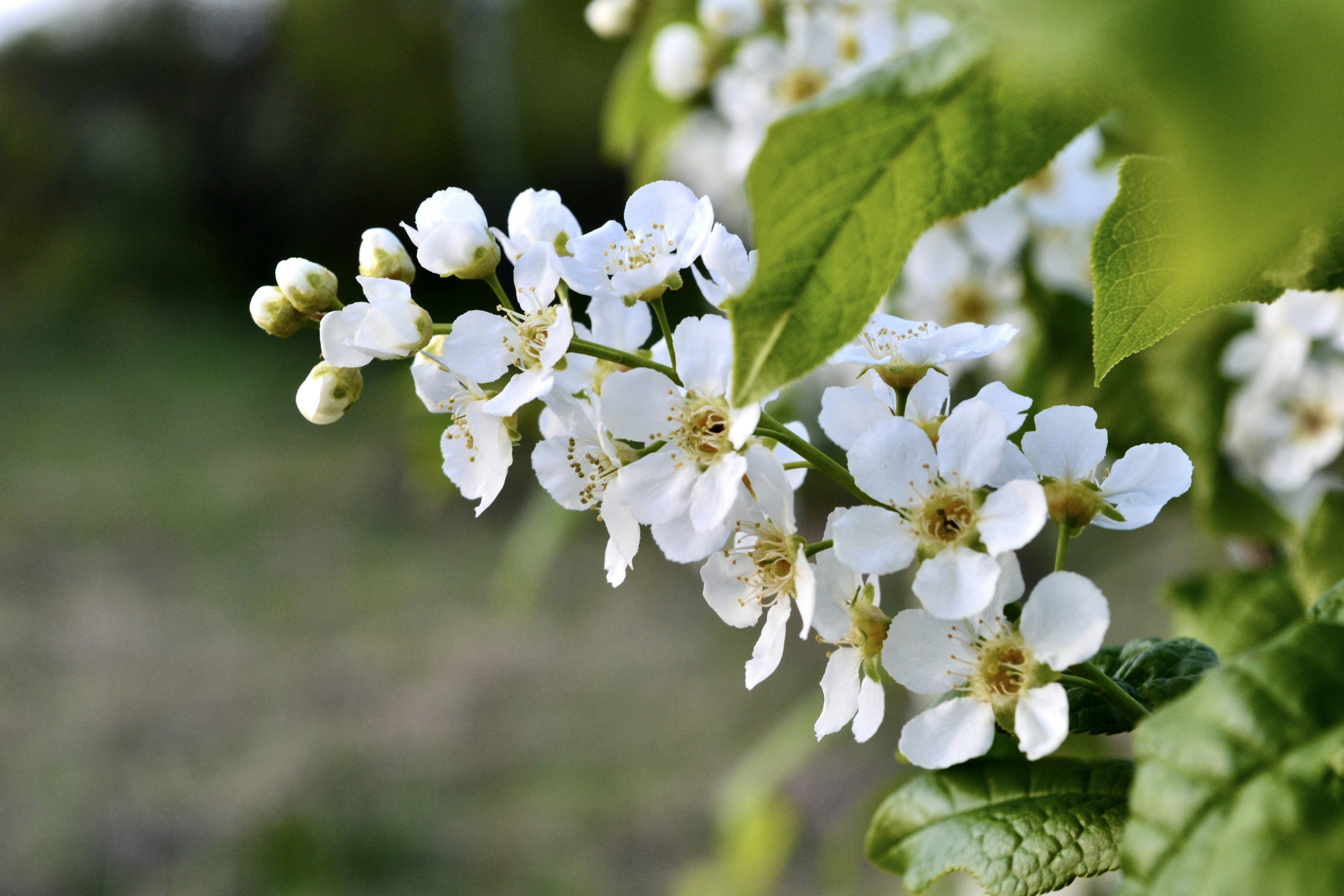 Photo by evgenslavin