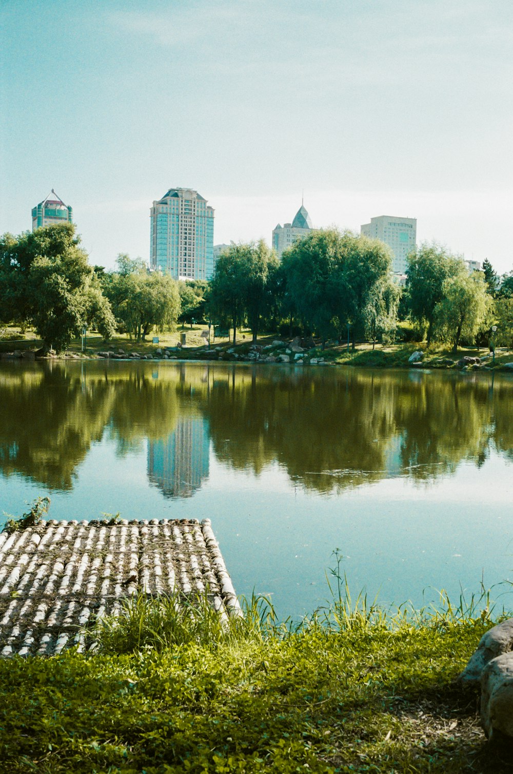 a view of a body of water in a city park