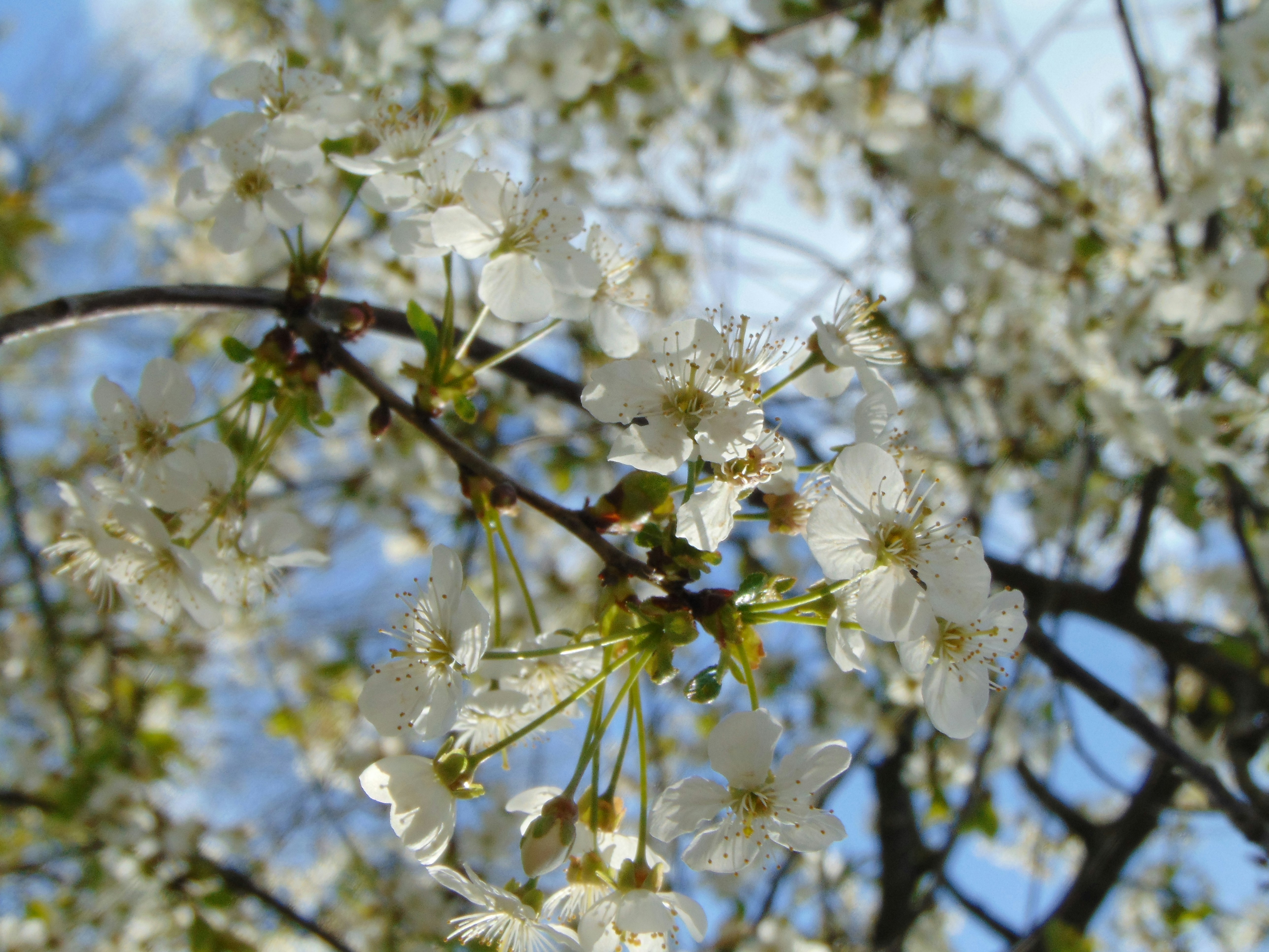 Photo by staresinicmarko