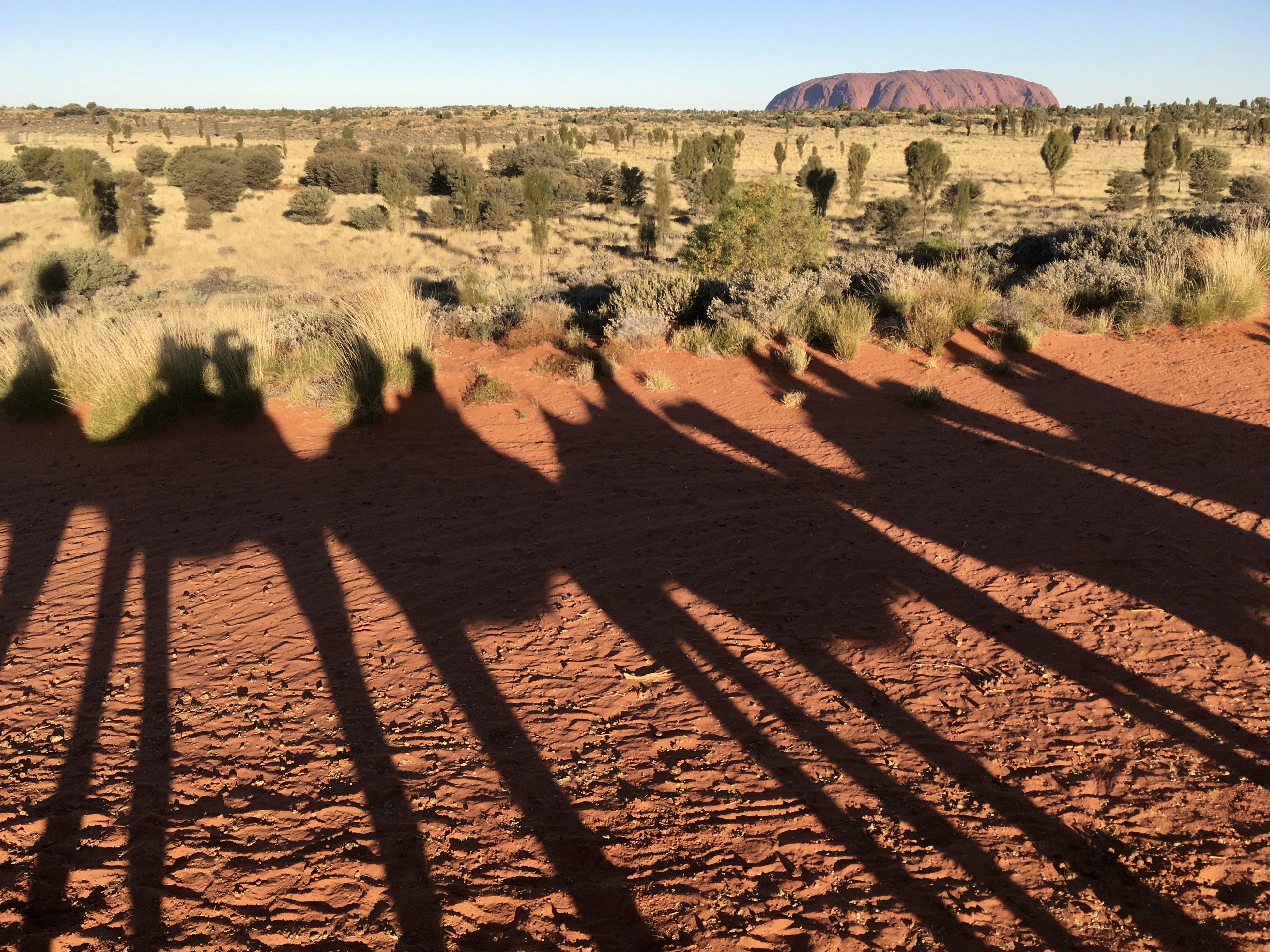 the shadow of a group of people in the desert