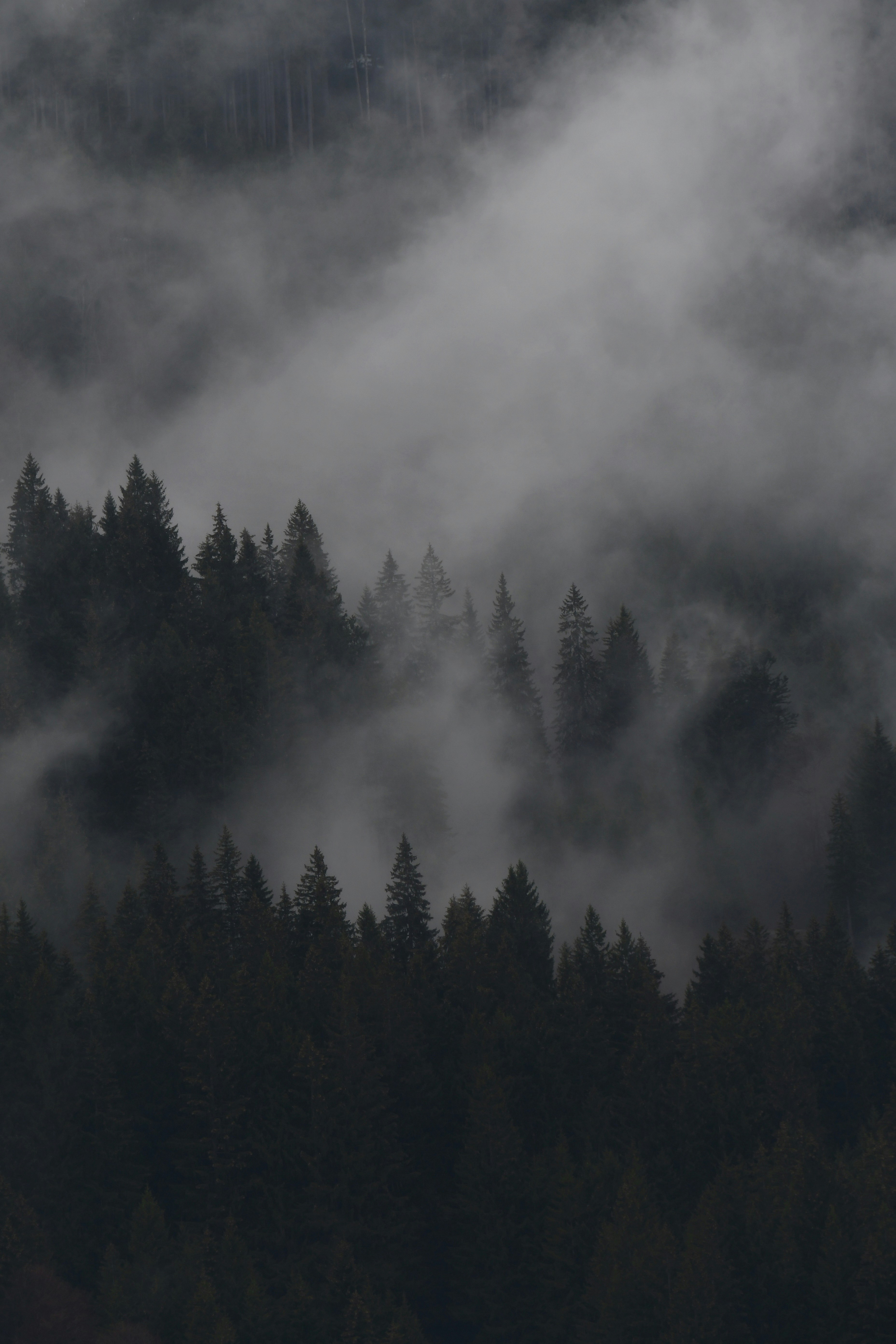 Photo by pedrino5_official