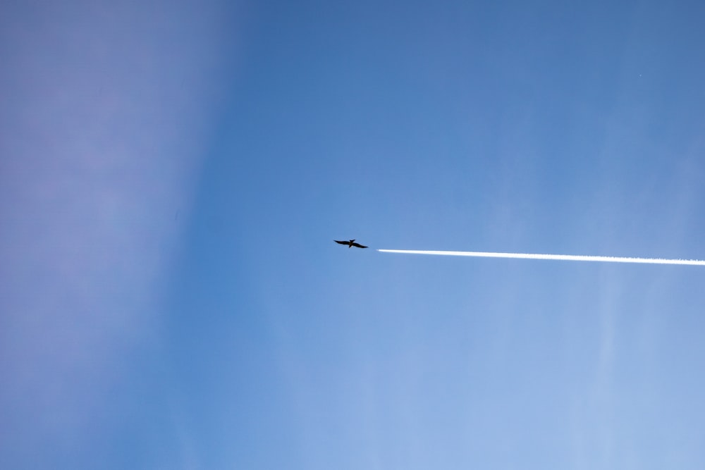 an airplane is flying in the blue sky