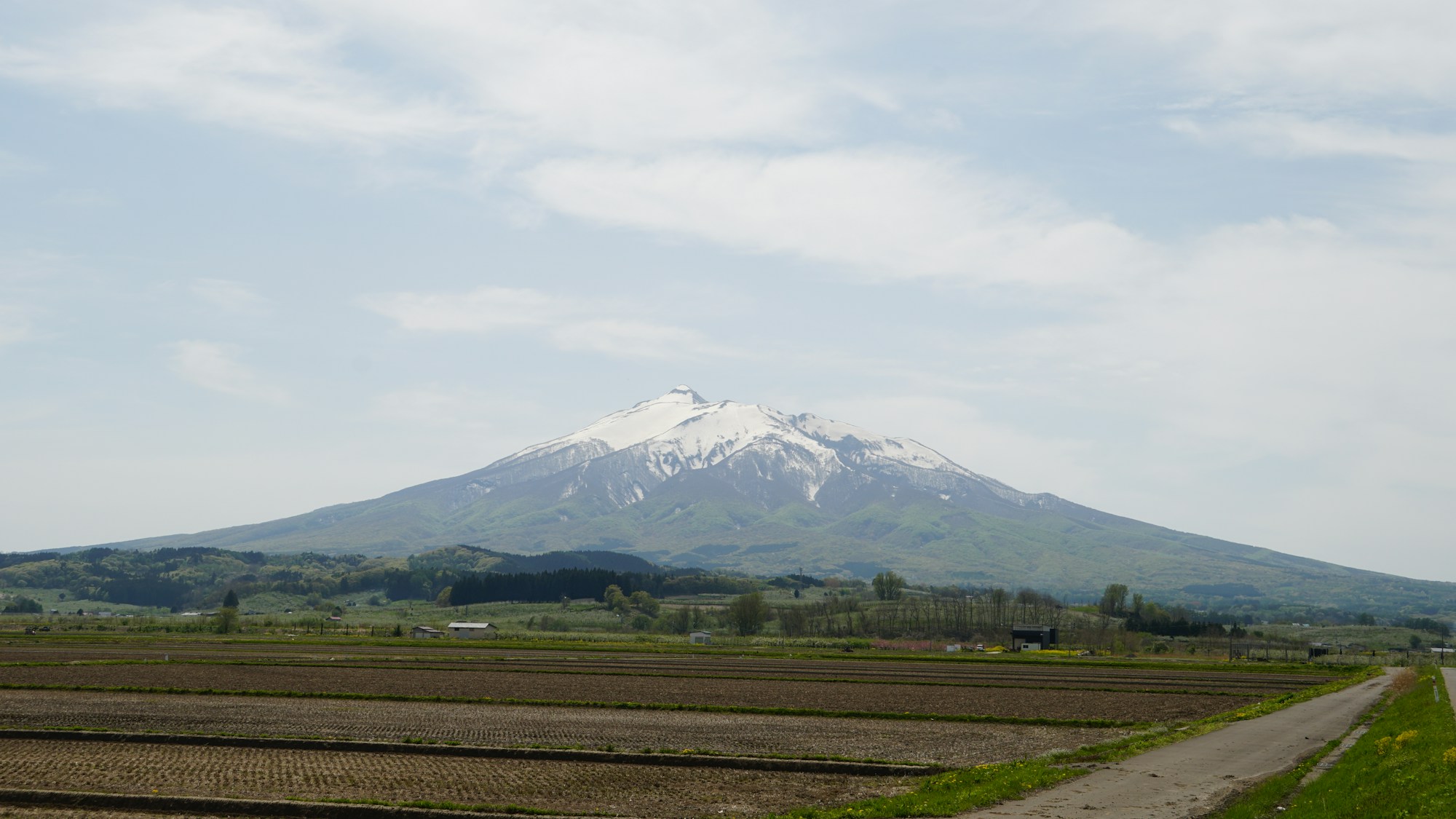 Iwaki Local Cuisine Guide: Dishes, Restaurants, Recipes