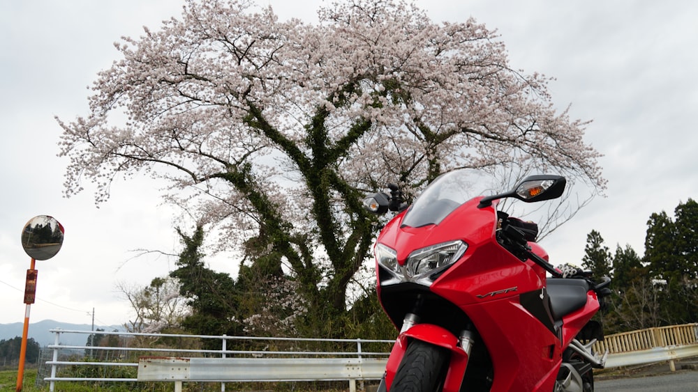 a red motorcycle parked on the side of the road