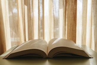 An open book on a wooden table, softly lit by warm sunlight, hinting at an inviting story within.