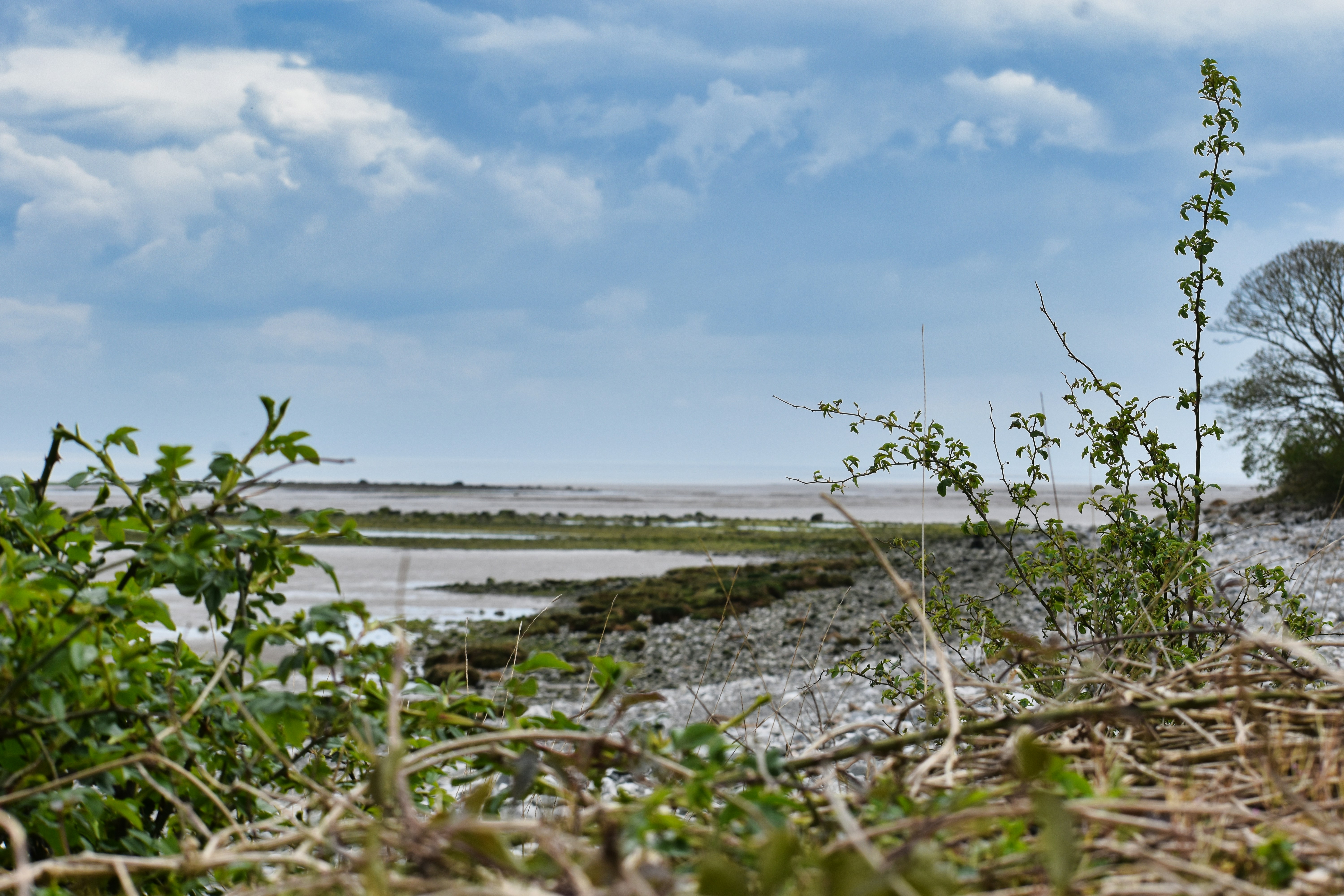 Photo by andrew_hall