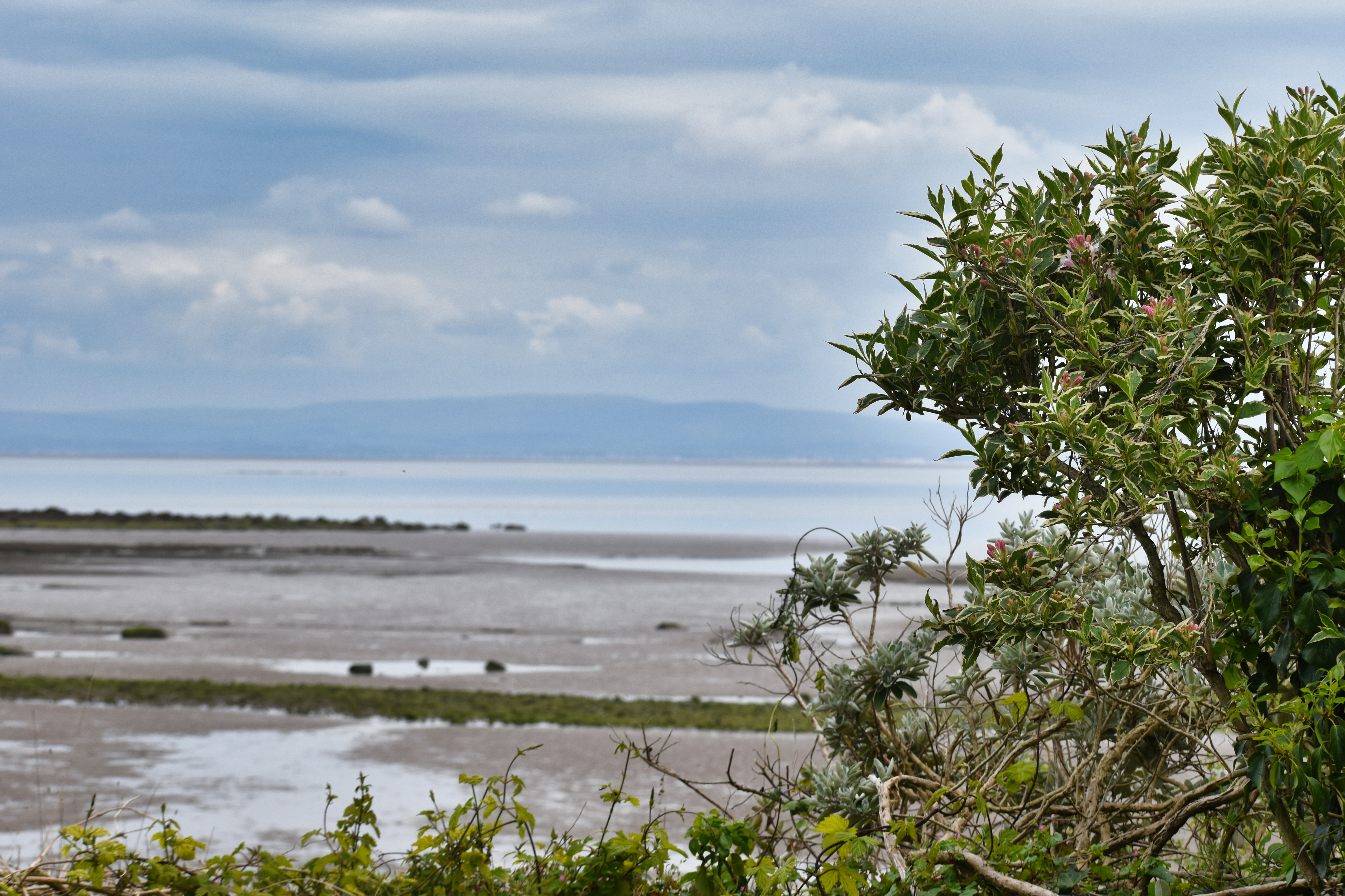 Photo by andrew_hall