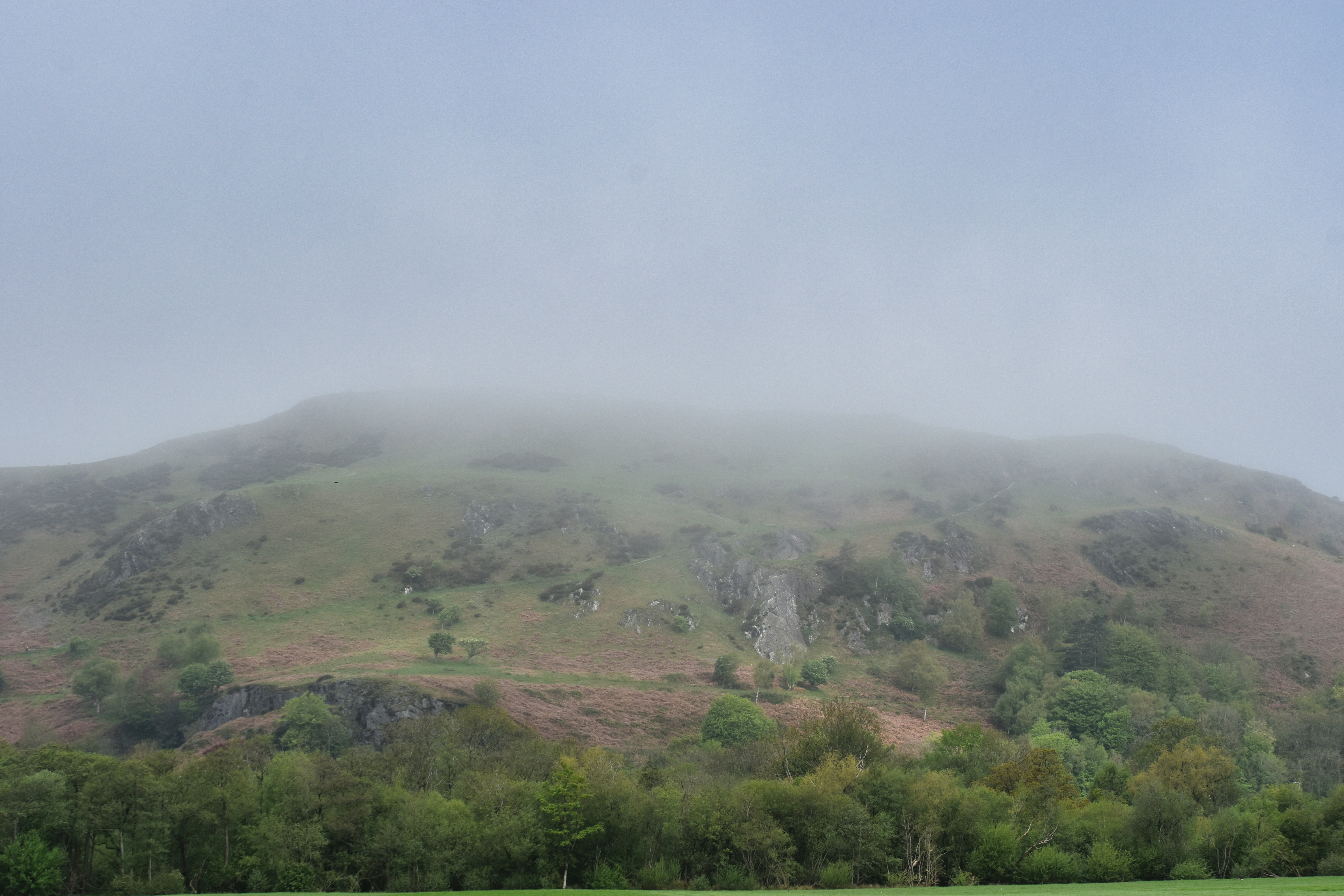 a foggy mountain covered in trees and grass