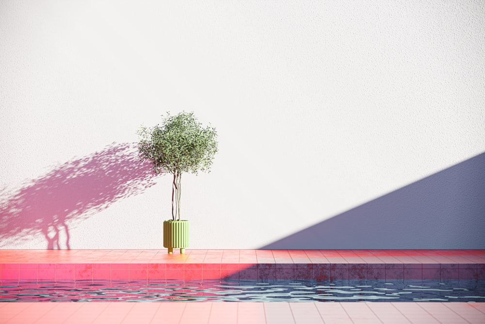 um vaso de planta sentado ao lado de uma piscina de água