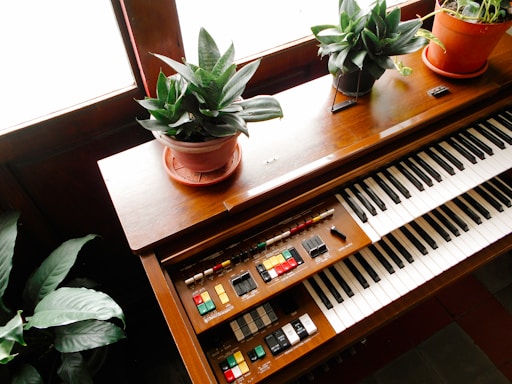 A vintage wooden organ with multiple rows of keys and colorful buttons is adorned with potted green plants on top. The scene is well-lit through a nearby window, creating a warm and cozy atmosphere.