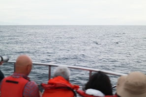 Small group of travelers quietly observing a pod of dolphins near the coastline.
