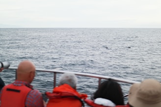 Small group of travelers quietly observing a pod of dolphins near the coastline.