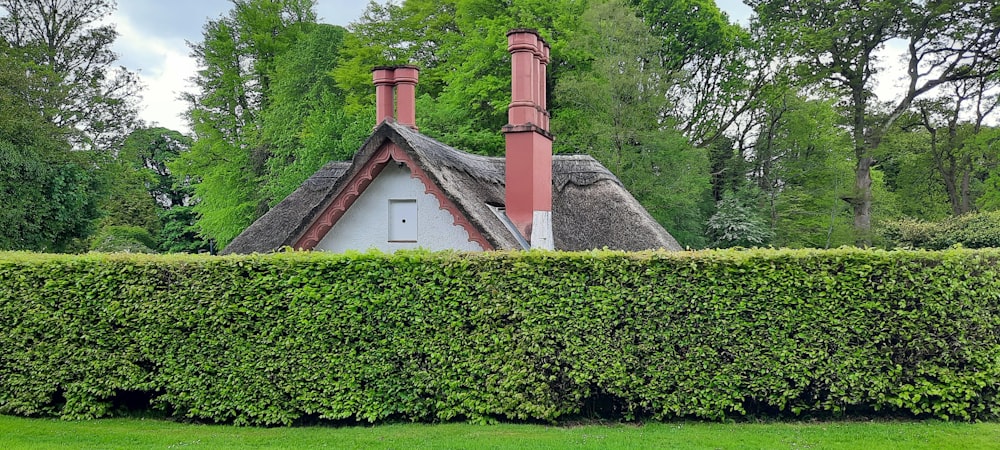 a house with a thatched roof surrounded by a hedge