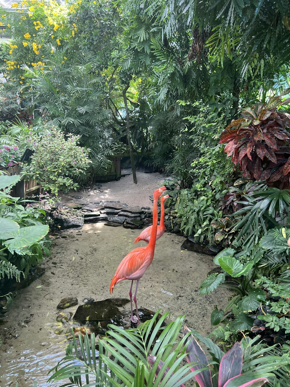 a pink flamingo standing in the middle of a lush green forest