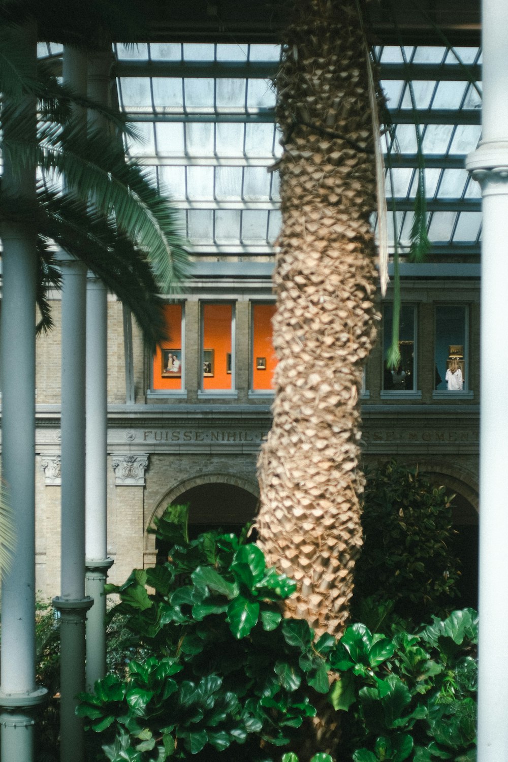 a palm tree in the middle of a building