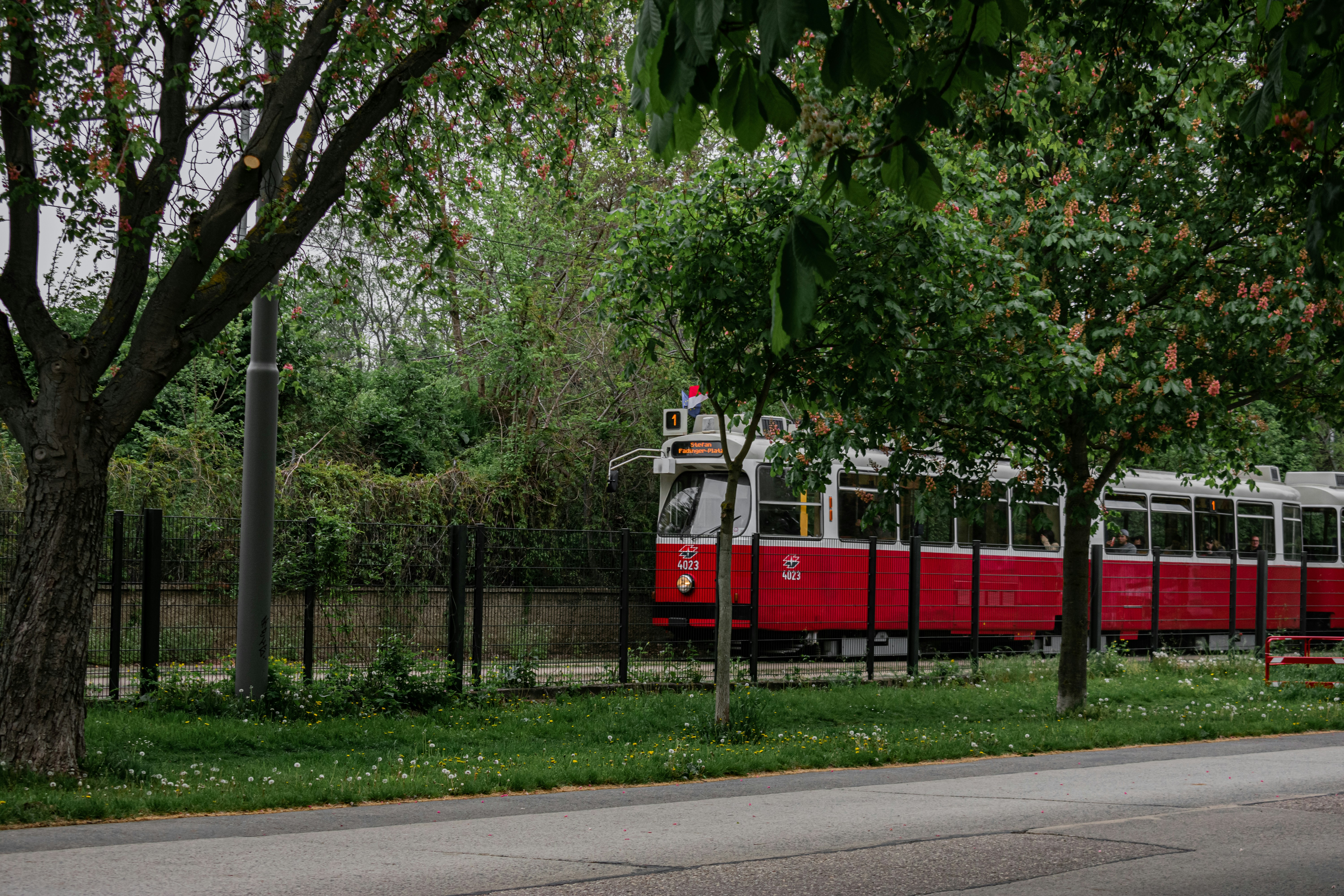 Photo by vladuken