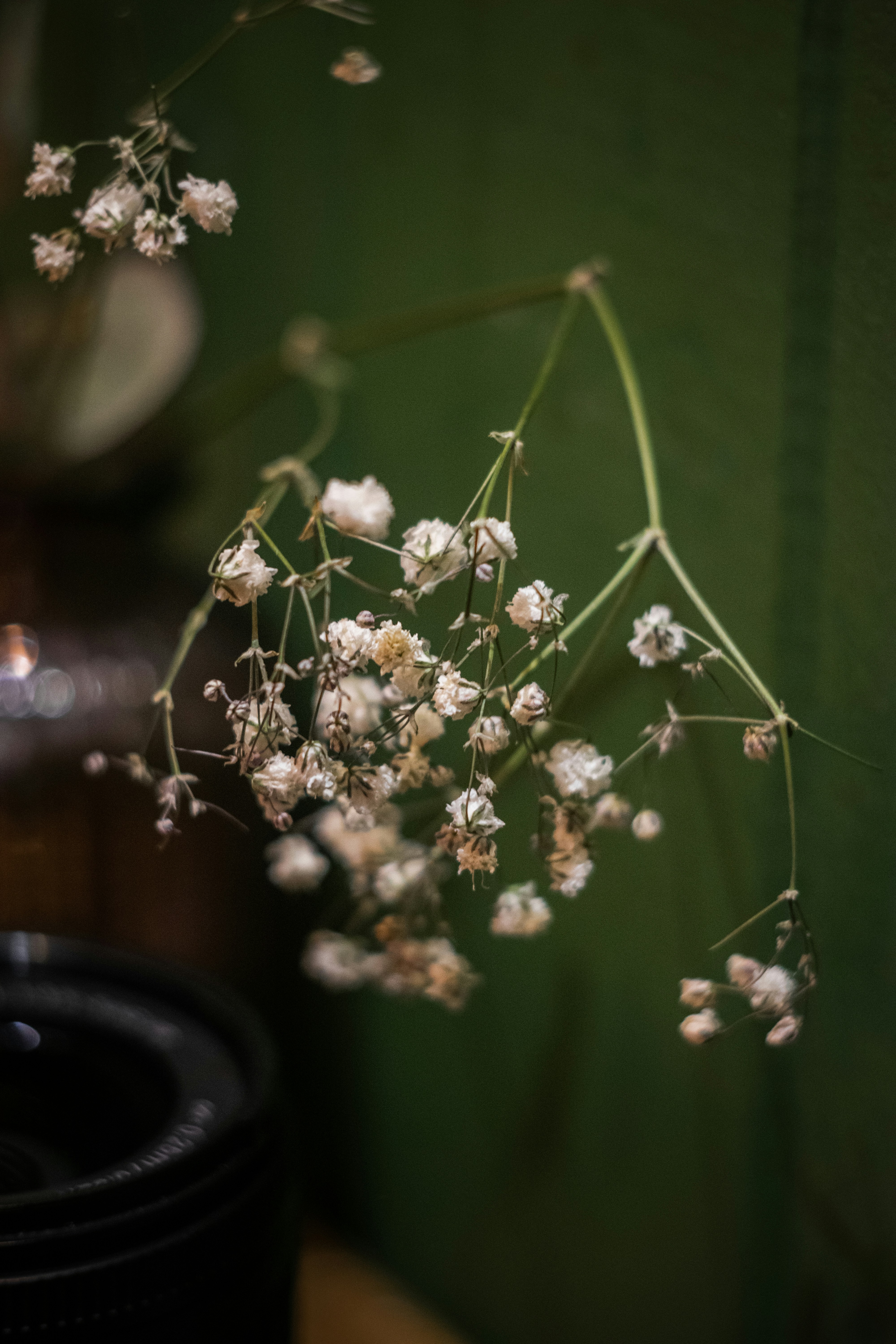 Photo by vladuken