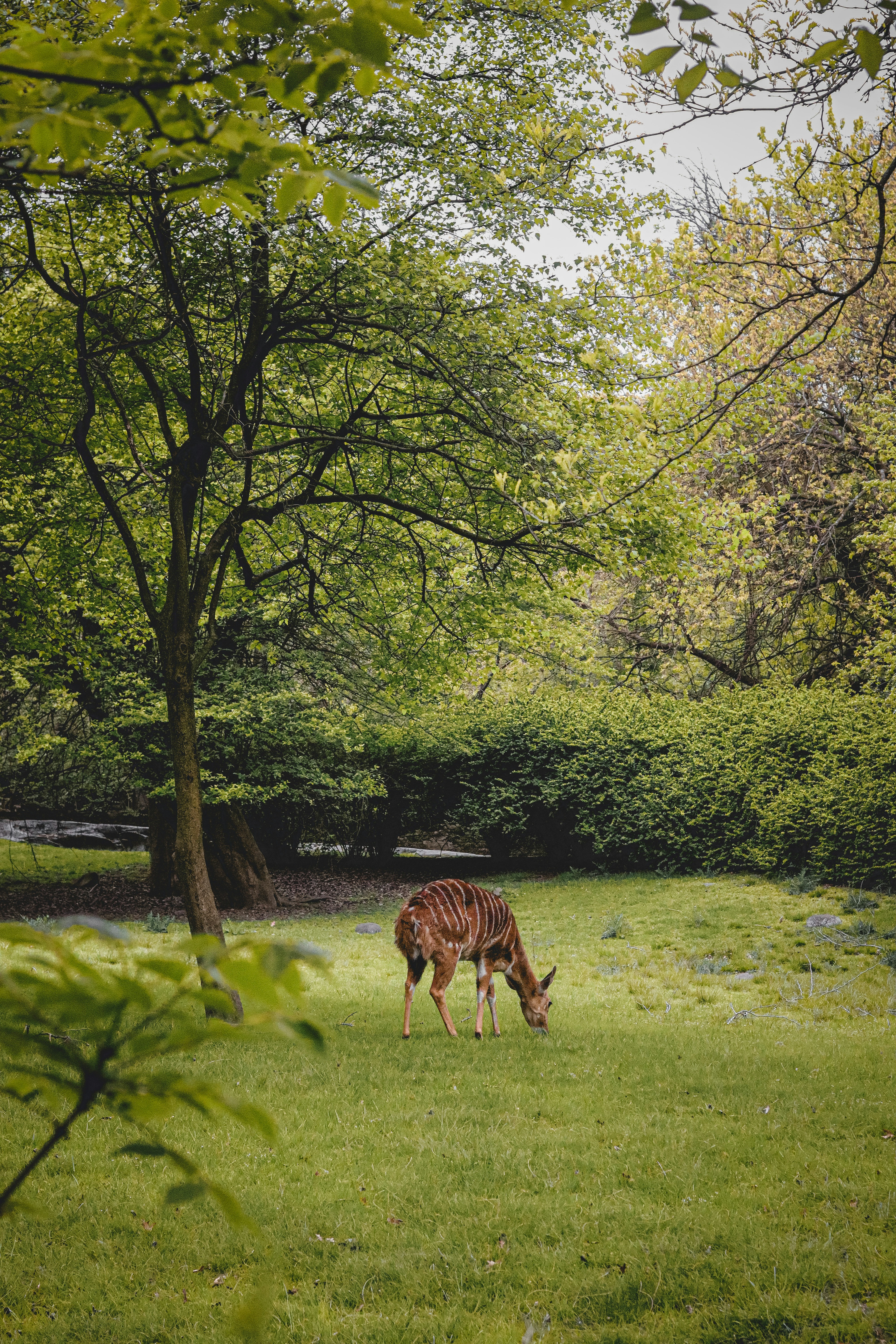 Photo by whereismaars