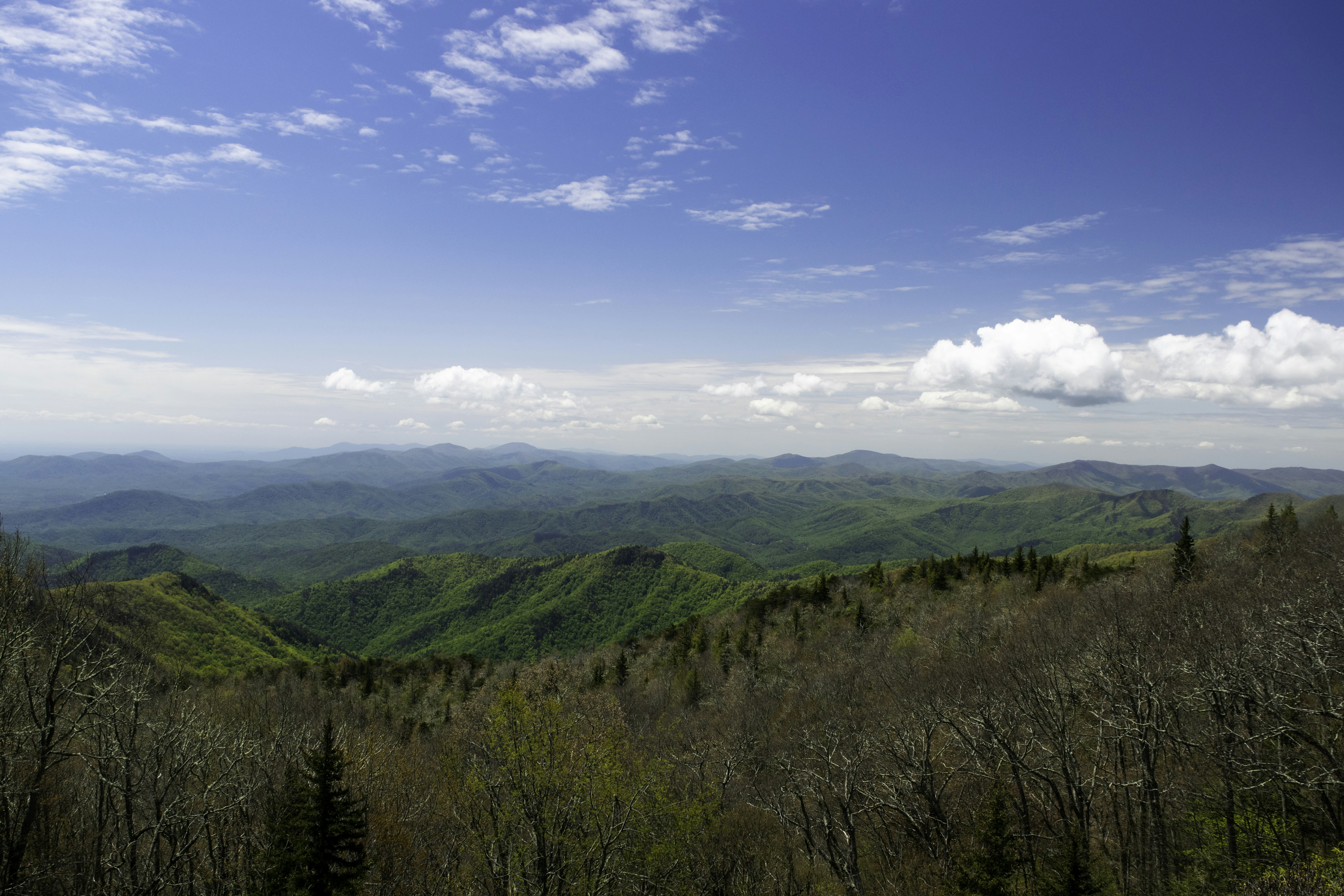 Hay un lugar en EE.UU. donde la gente desaparece sin dejar rastro