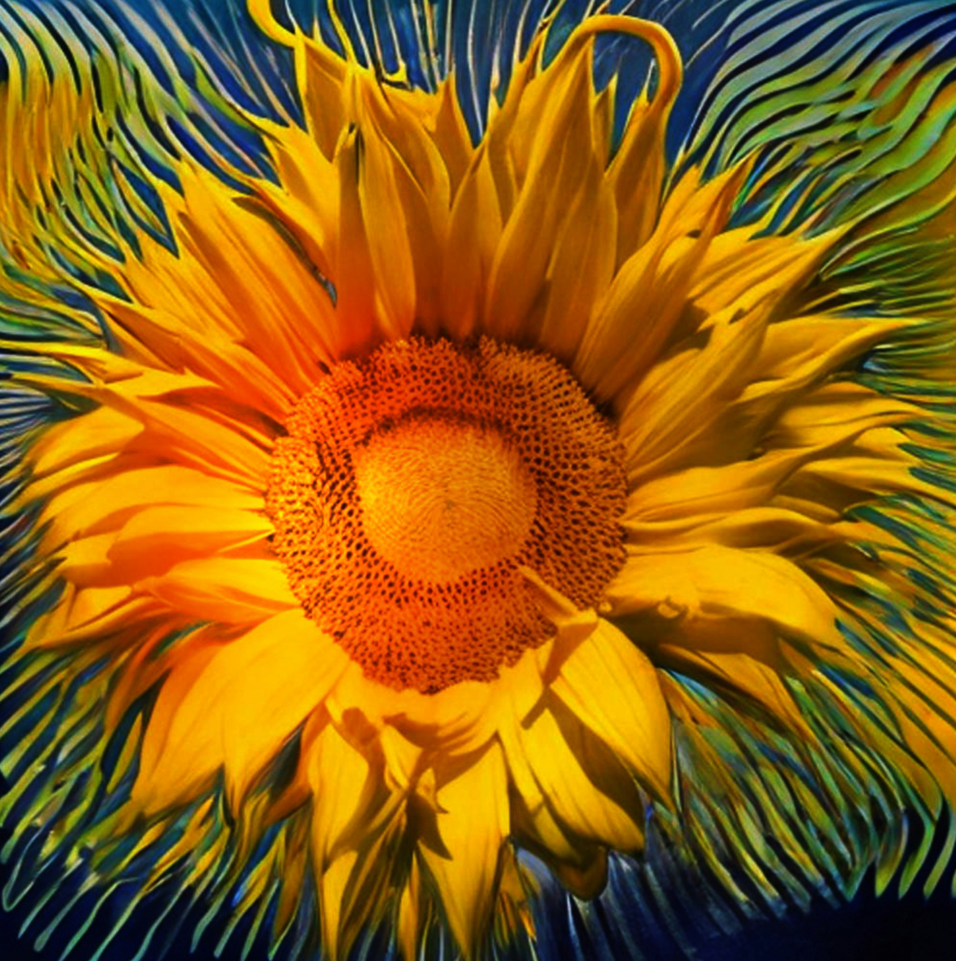 Photo by photodreamsbyga