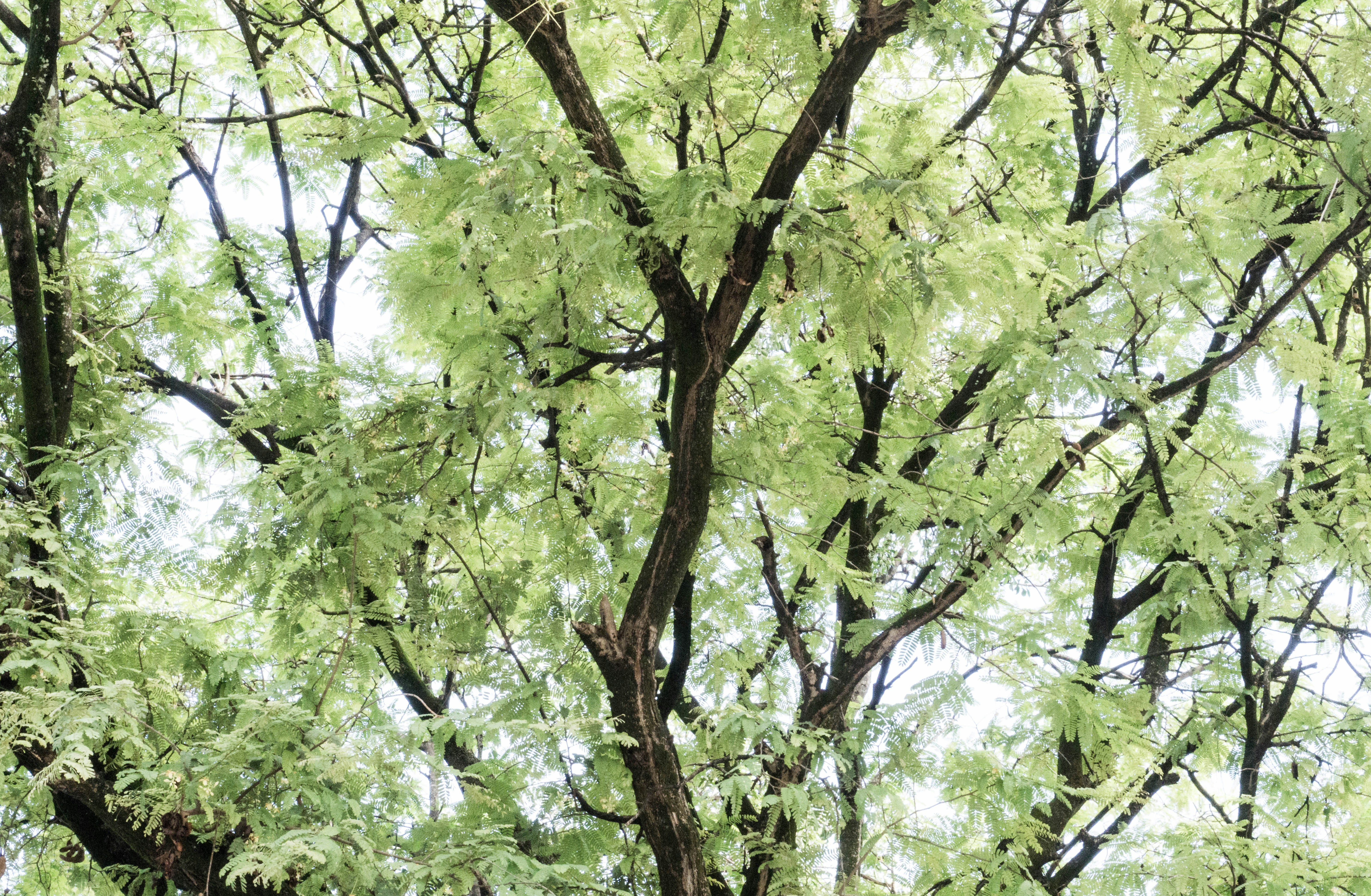 Photo by elinemarrieth