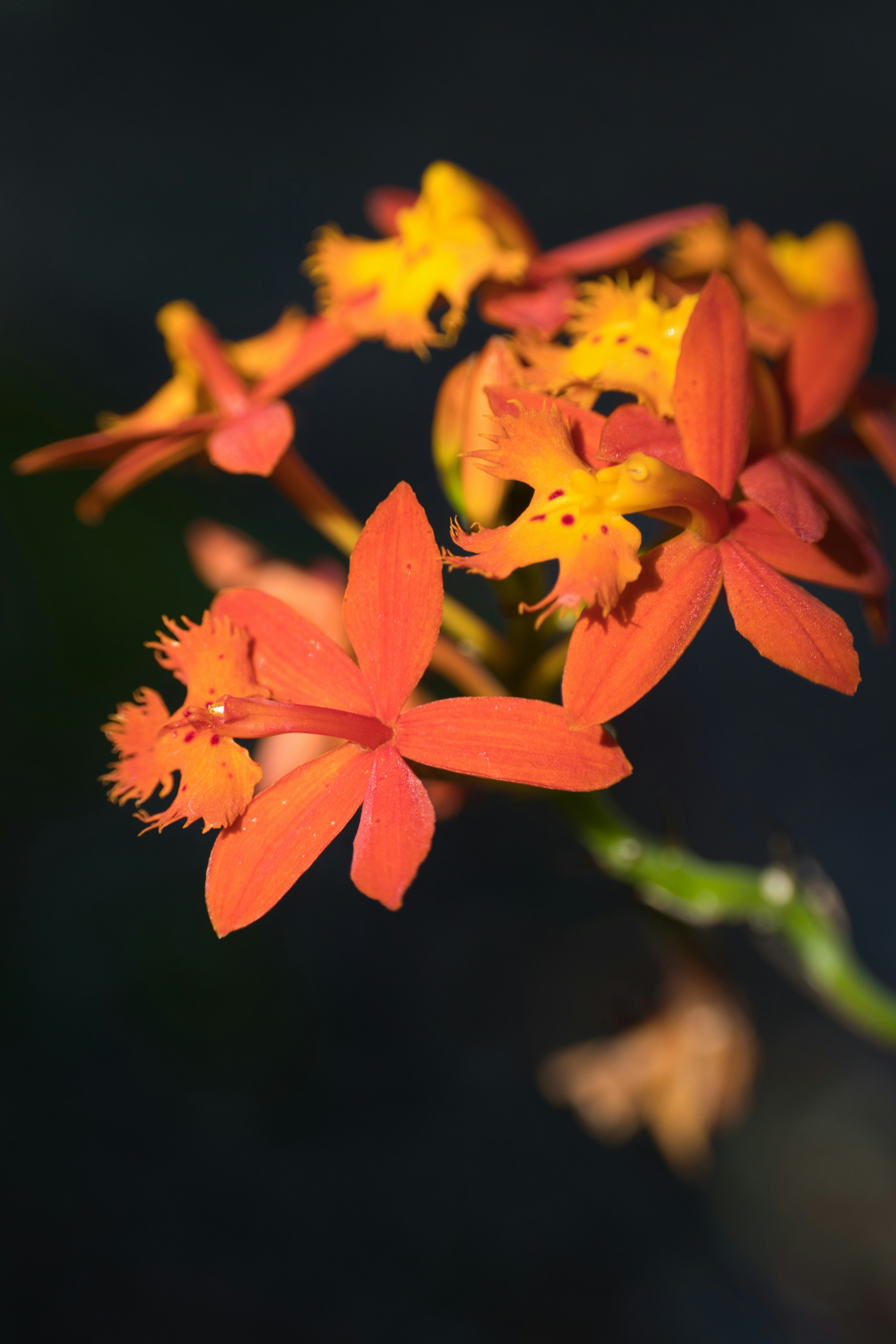 Photo by thephotochad