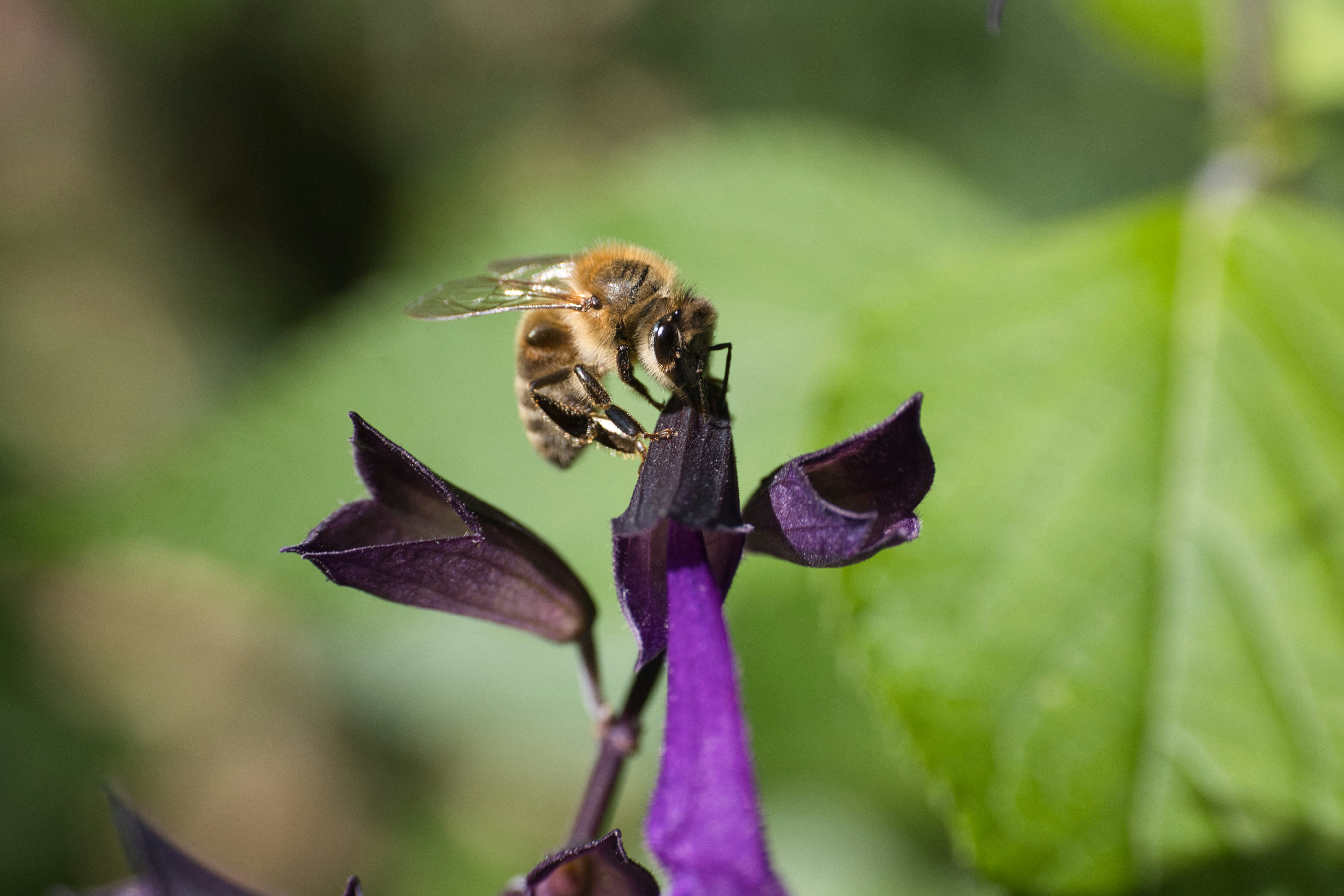 Photo by thephotochad