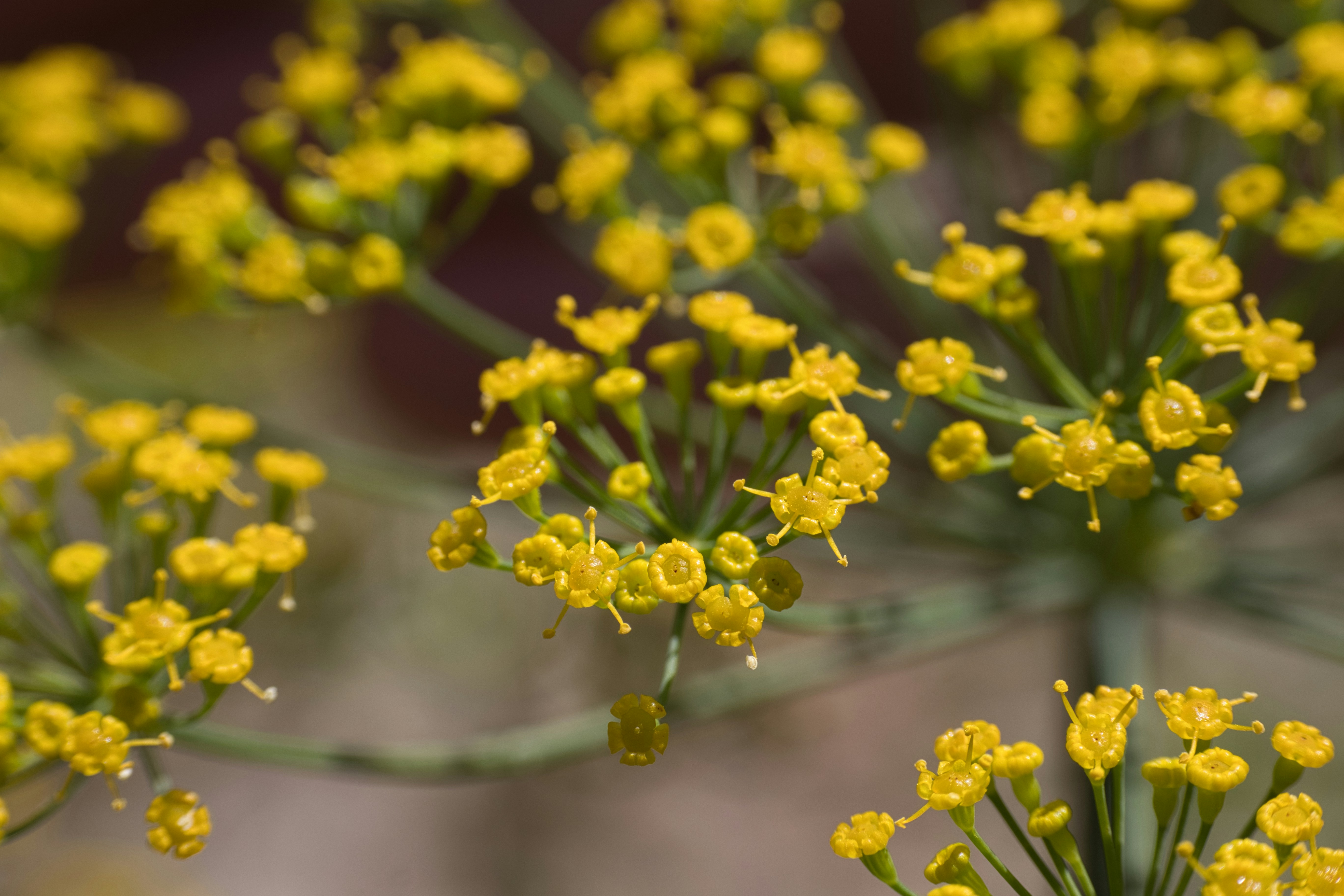 Photo by thephotochad