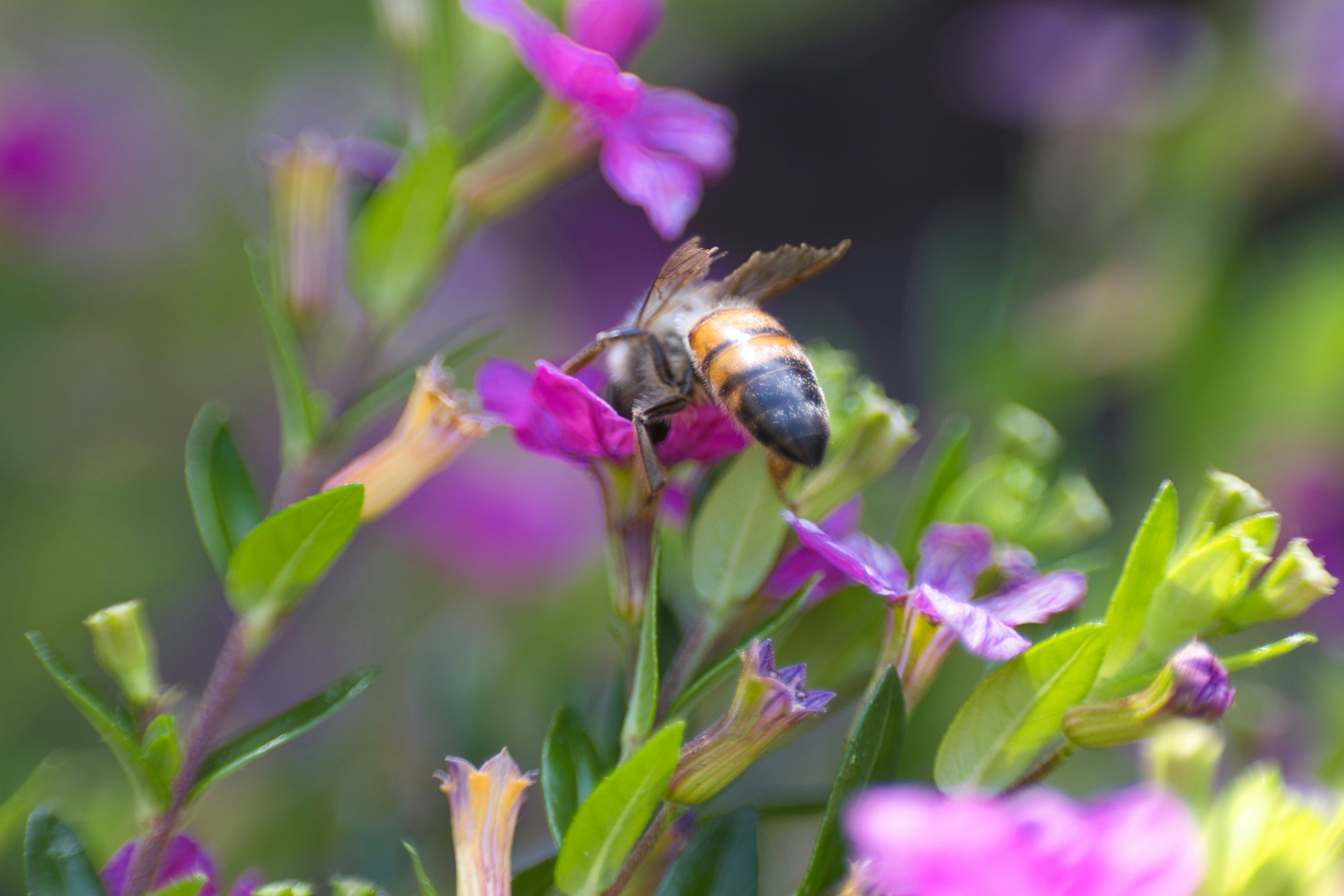 Photo by thephotochad