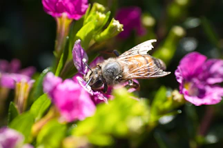 A vibrant bee hive buzzing with honeybees gathering nectar under a sunny sky.