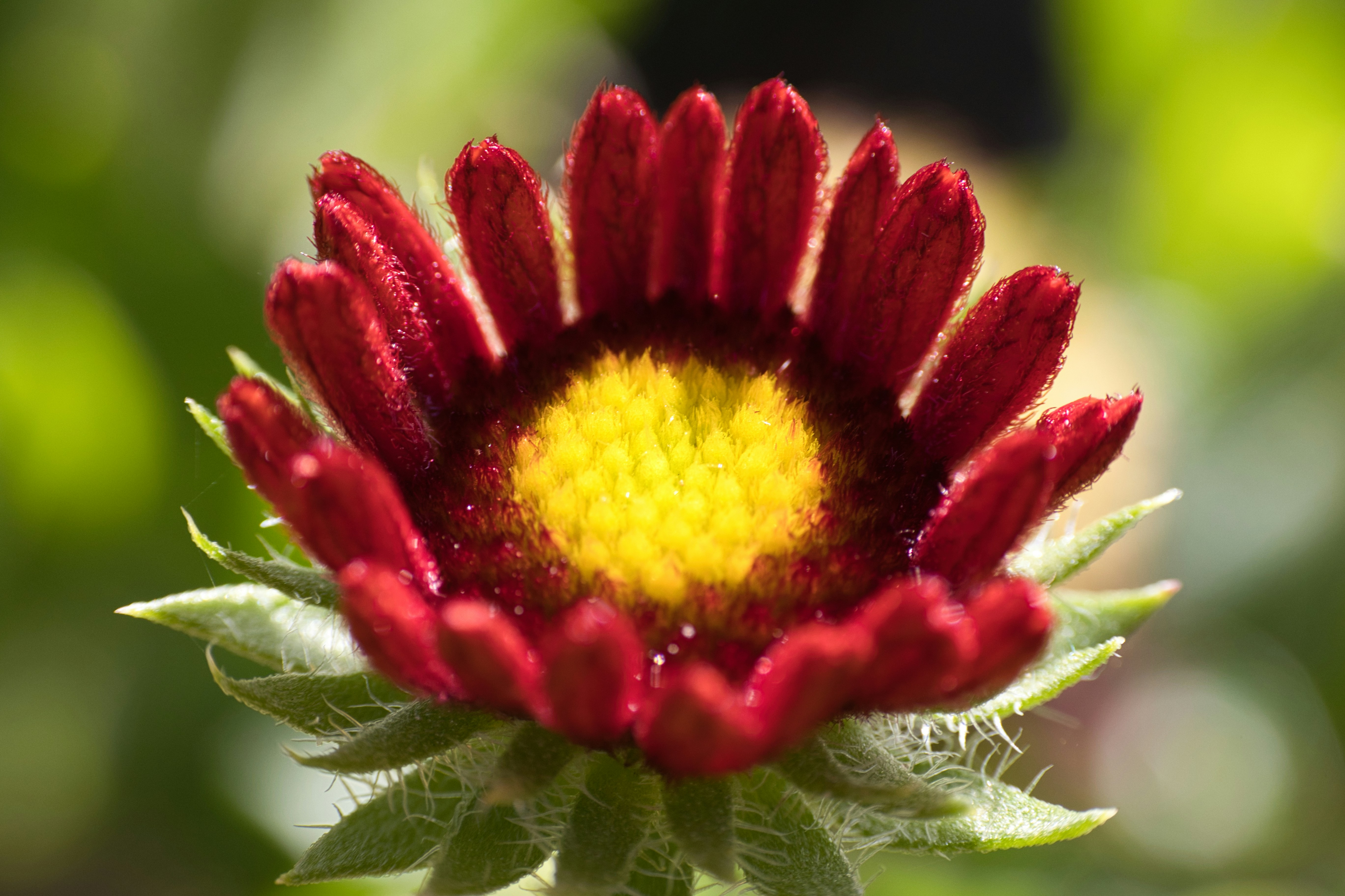 Photo by thephotochad