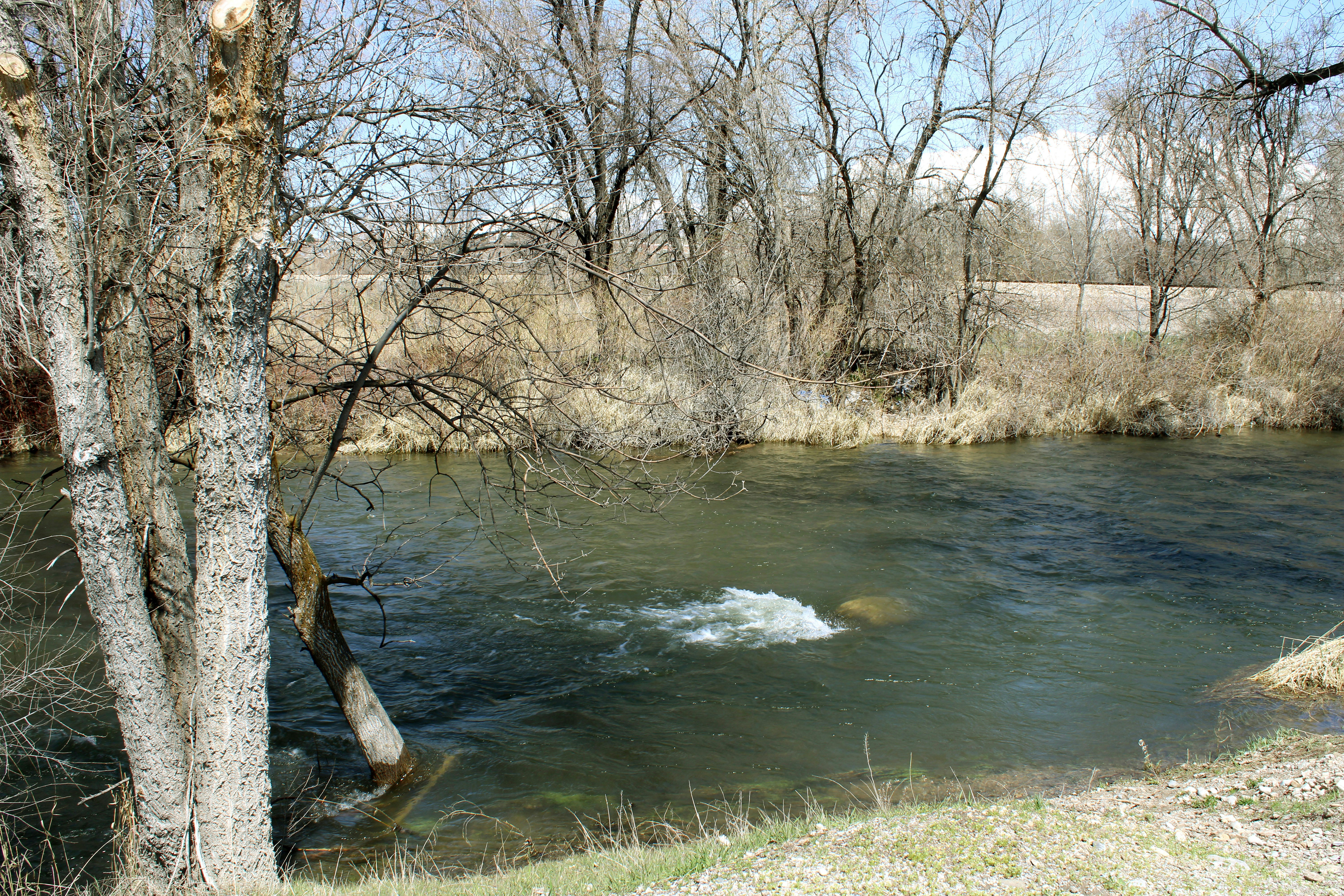 Photo by nico_mikaela17