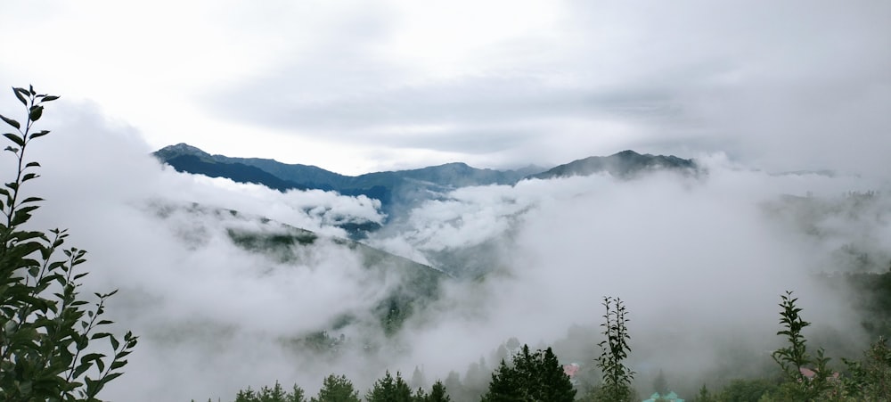 a view of a mountain range covered in clouds