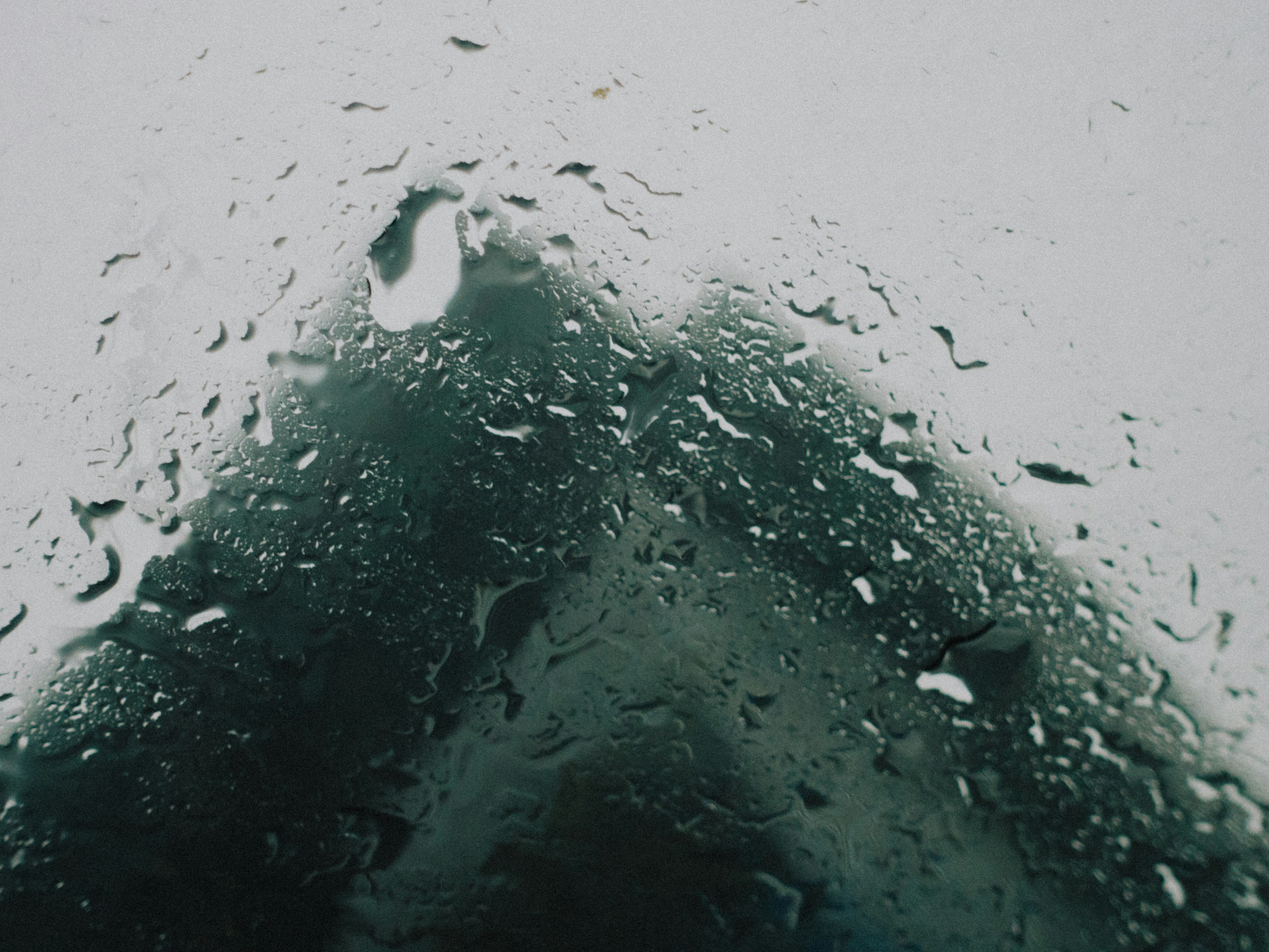 Photo by catgirlmutant