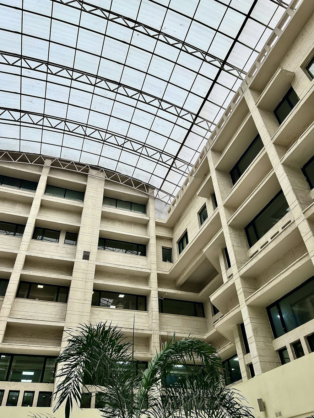 a large building with a glass roof and palm trees