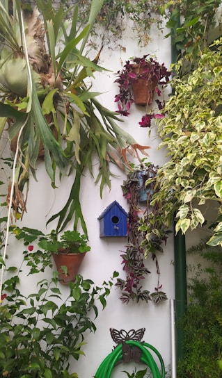 Colorful flower pots arranged beside a cozy bird feeder and insect house in a backyard garden.