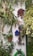 A vibrant outdoor wall adorned with several potted plants and a small blue birdhouse. The plants are lush and varied, including different shades of green, with some purple foliage. A garden hose is coiled neatly at the bottom, adding to the gardening theme.