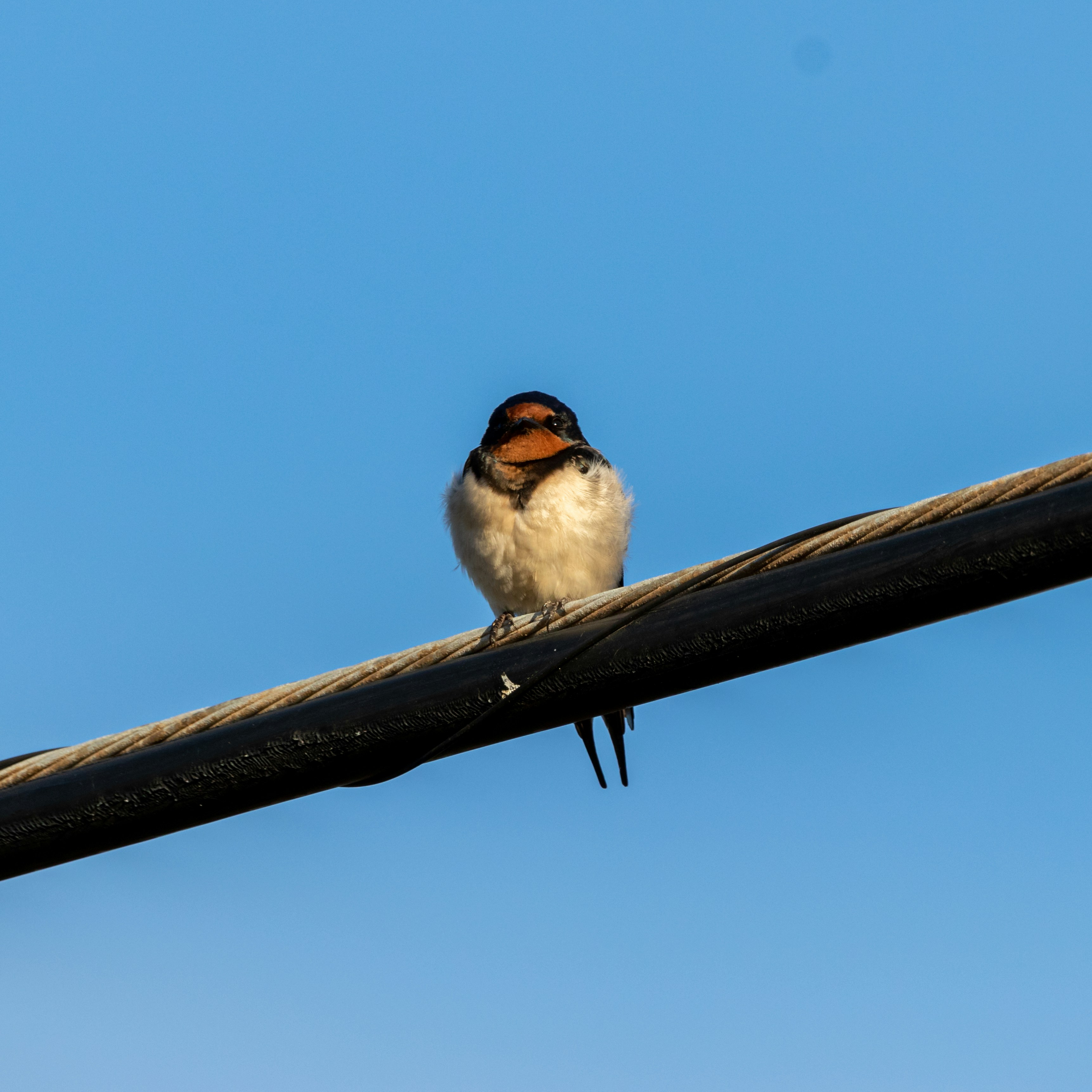 Photo by matthieur68